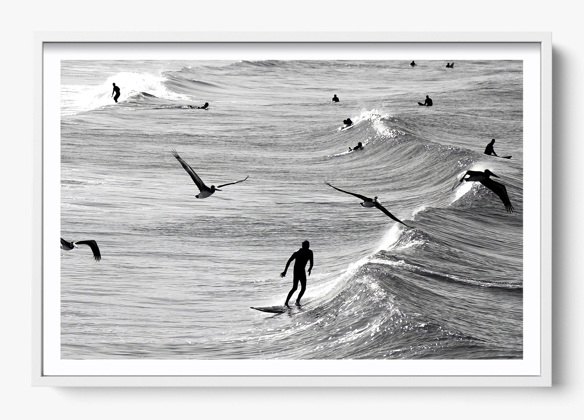Surfing With The Free