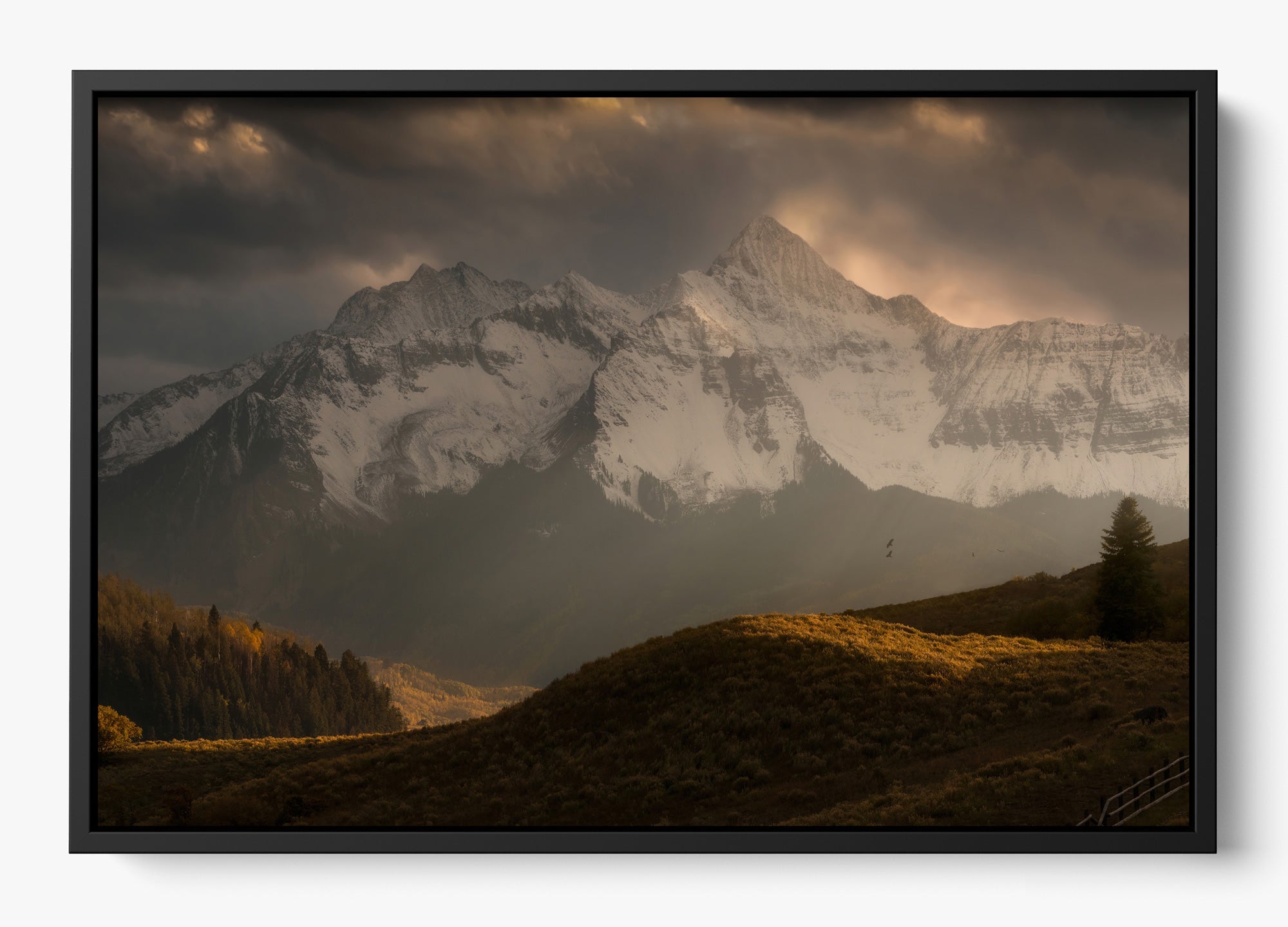 Telluride Dawn