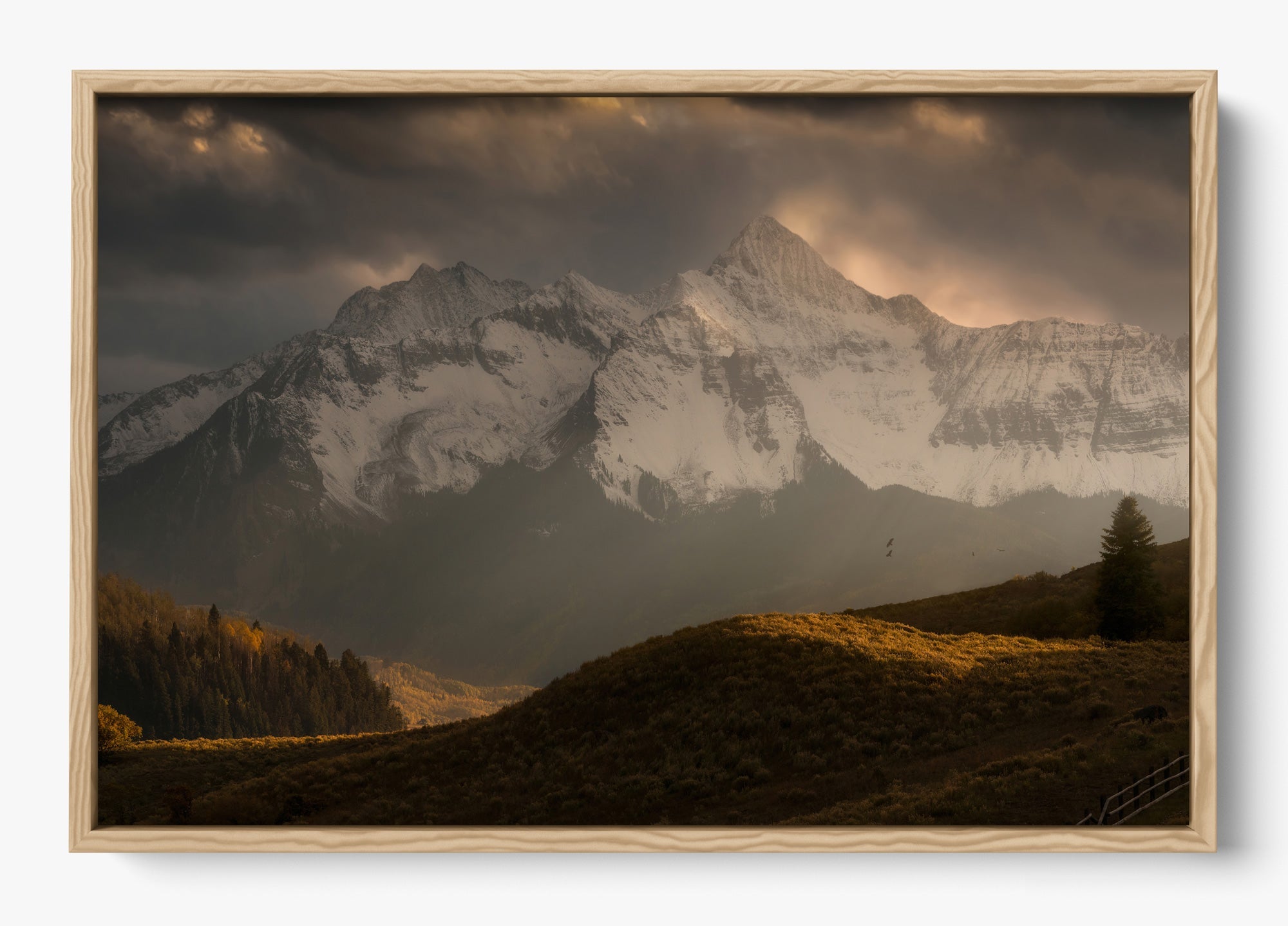 Telluride Dawn