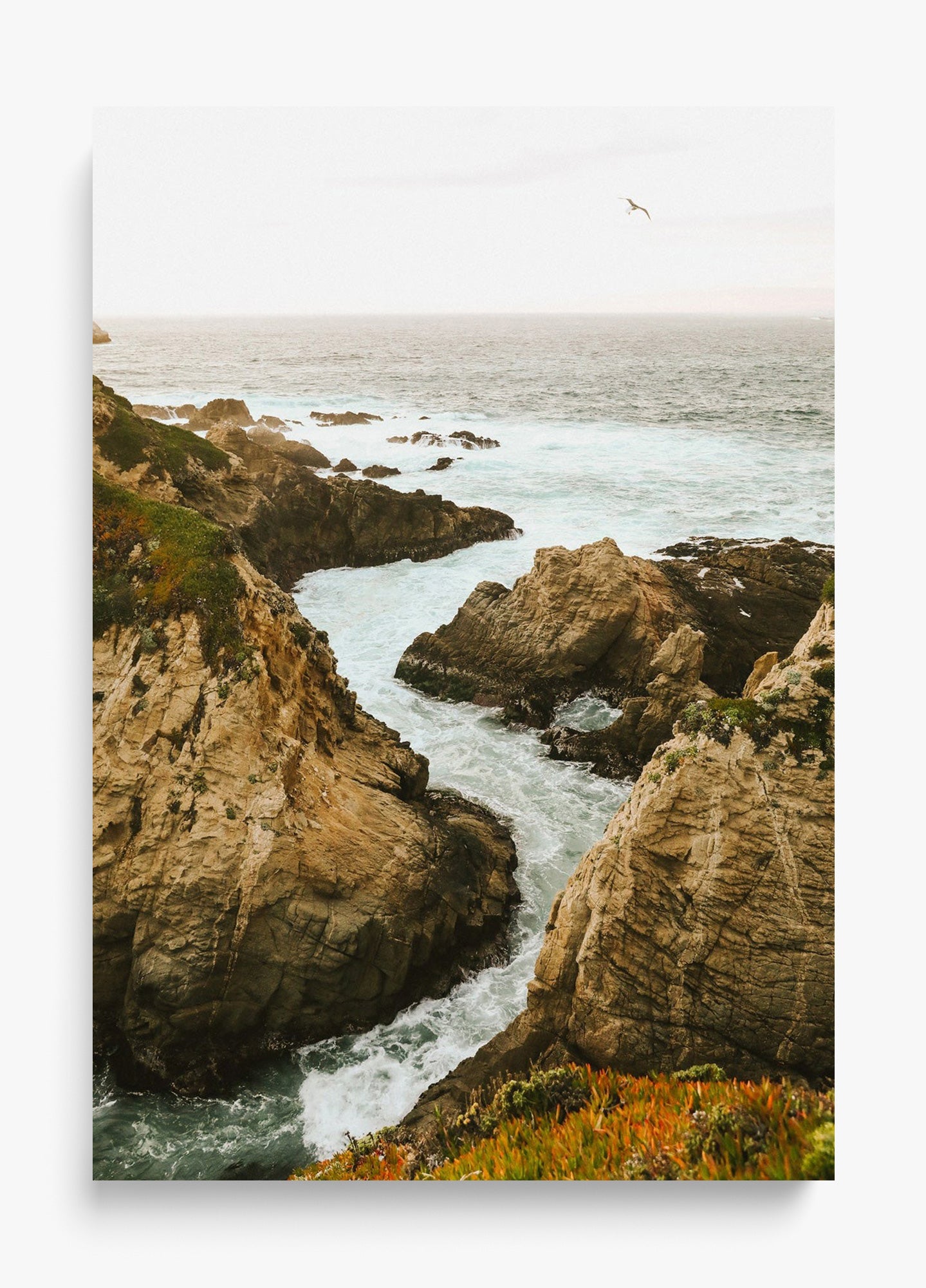 To The Sea