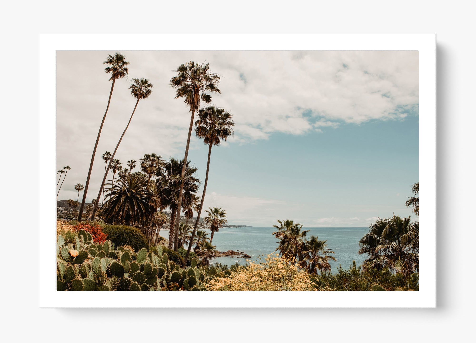 The Laguna