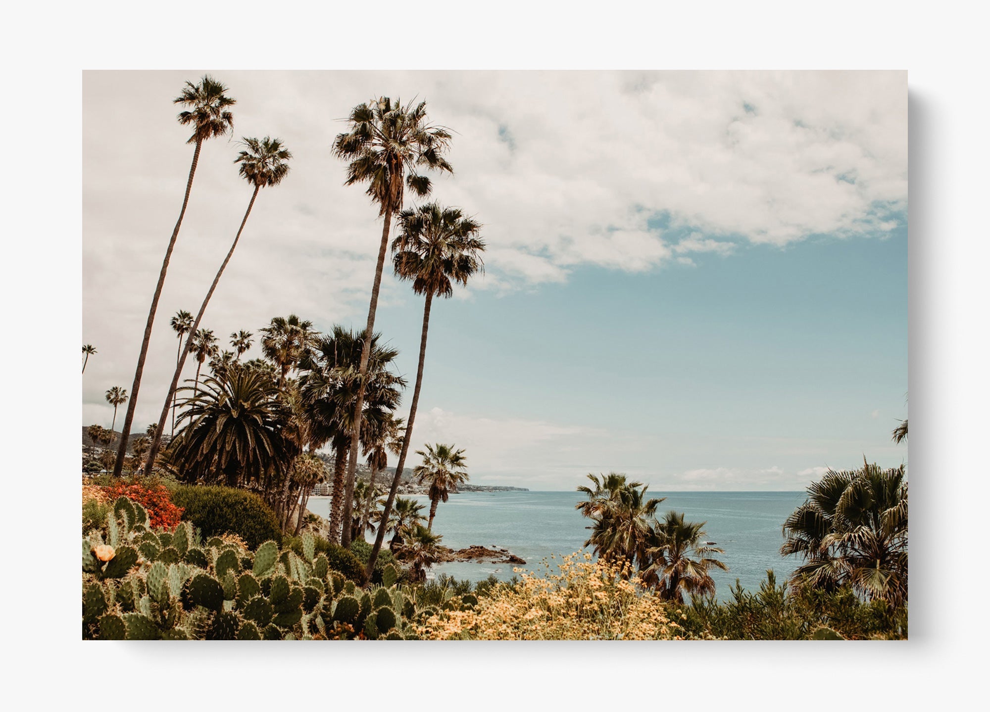 The Laguna