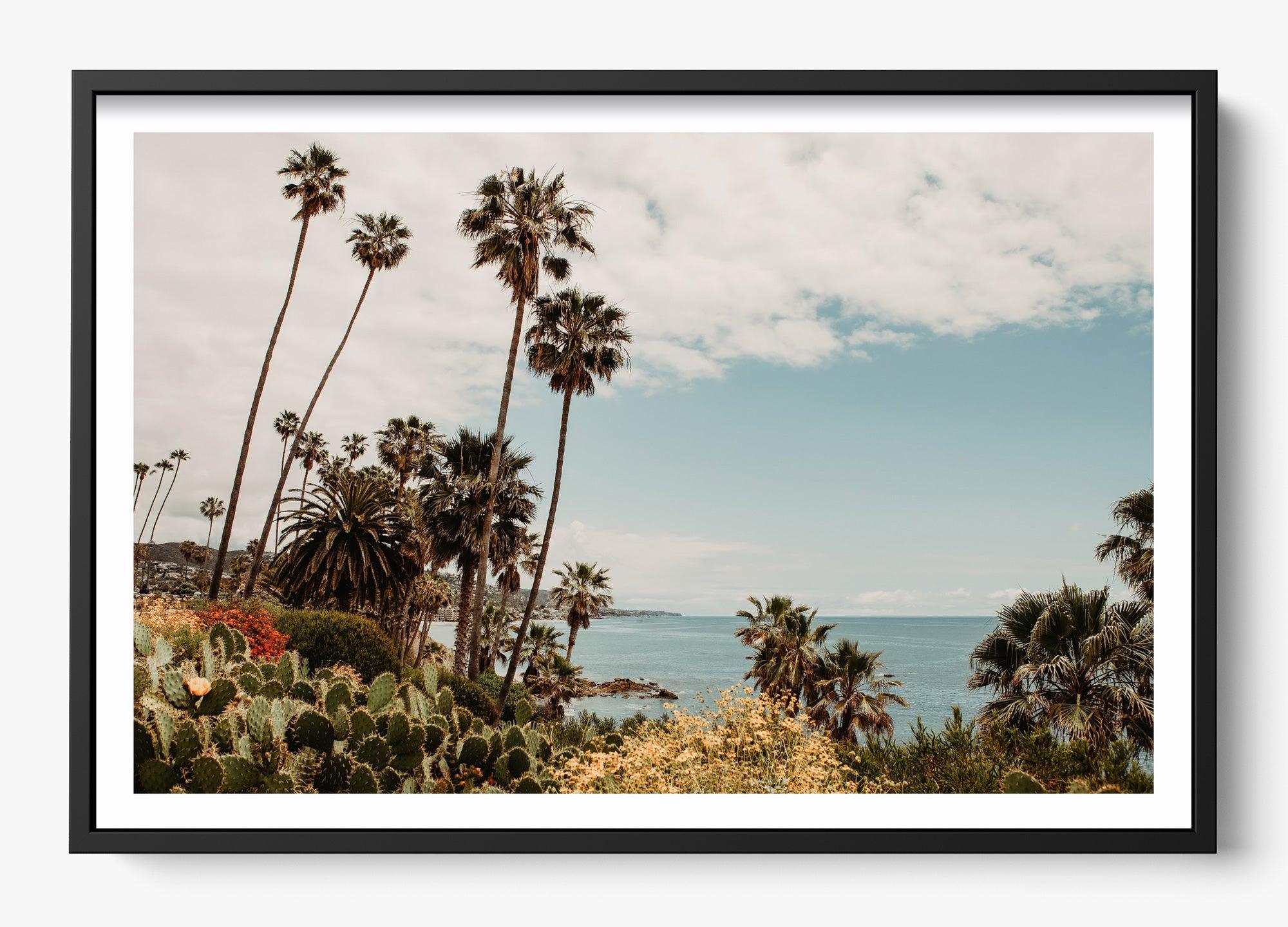 The Laguna