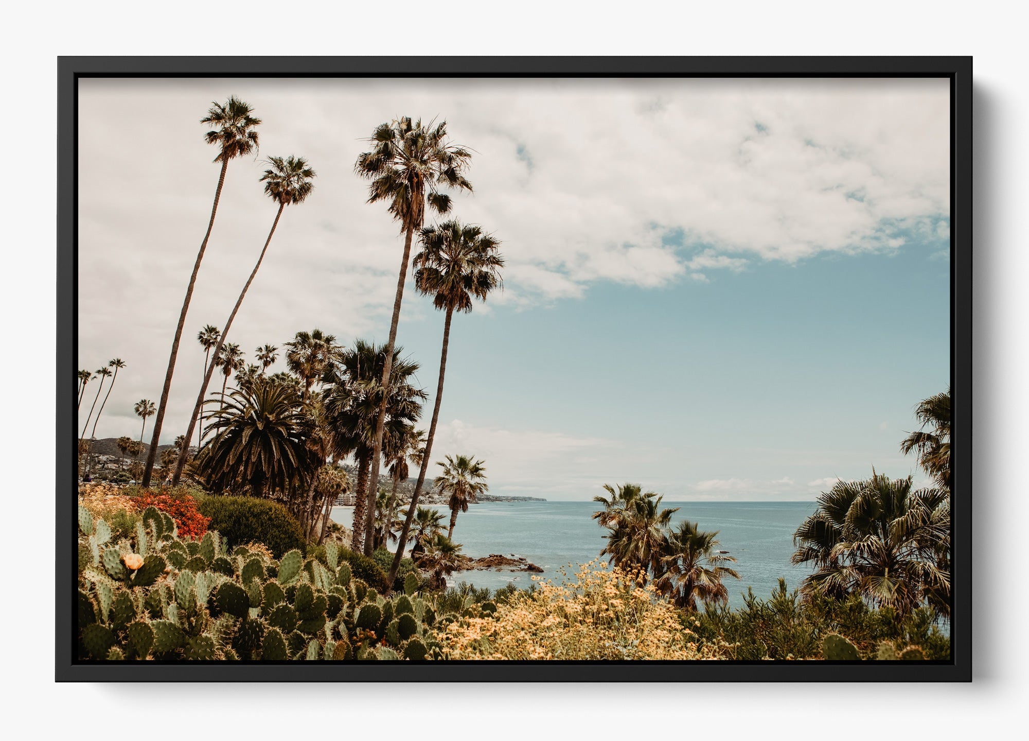 The Laguna