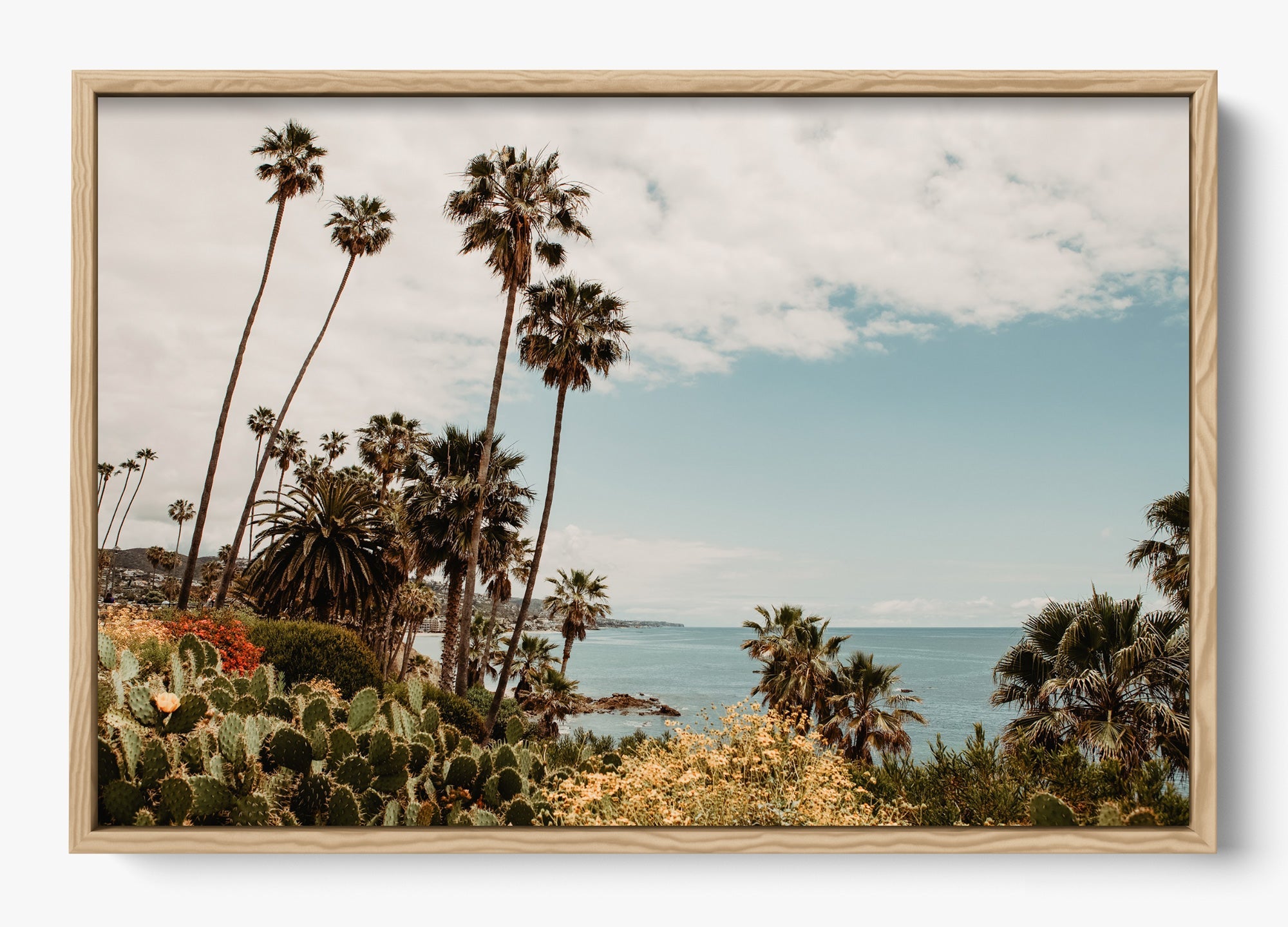 The Laguna