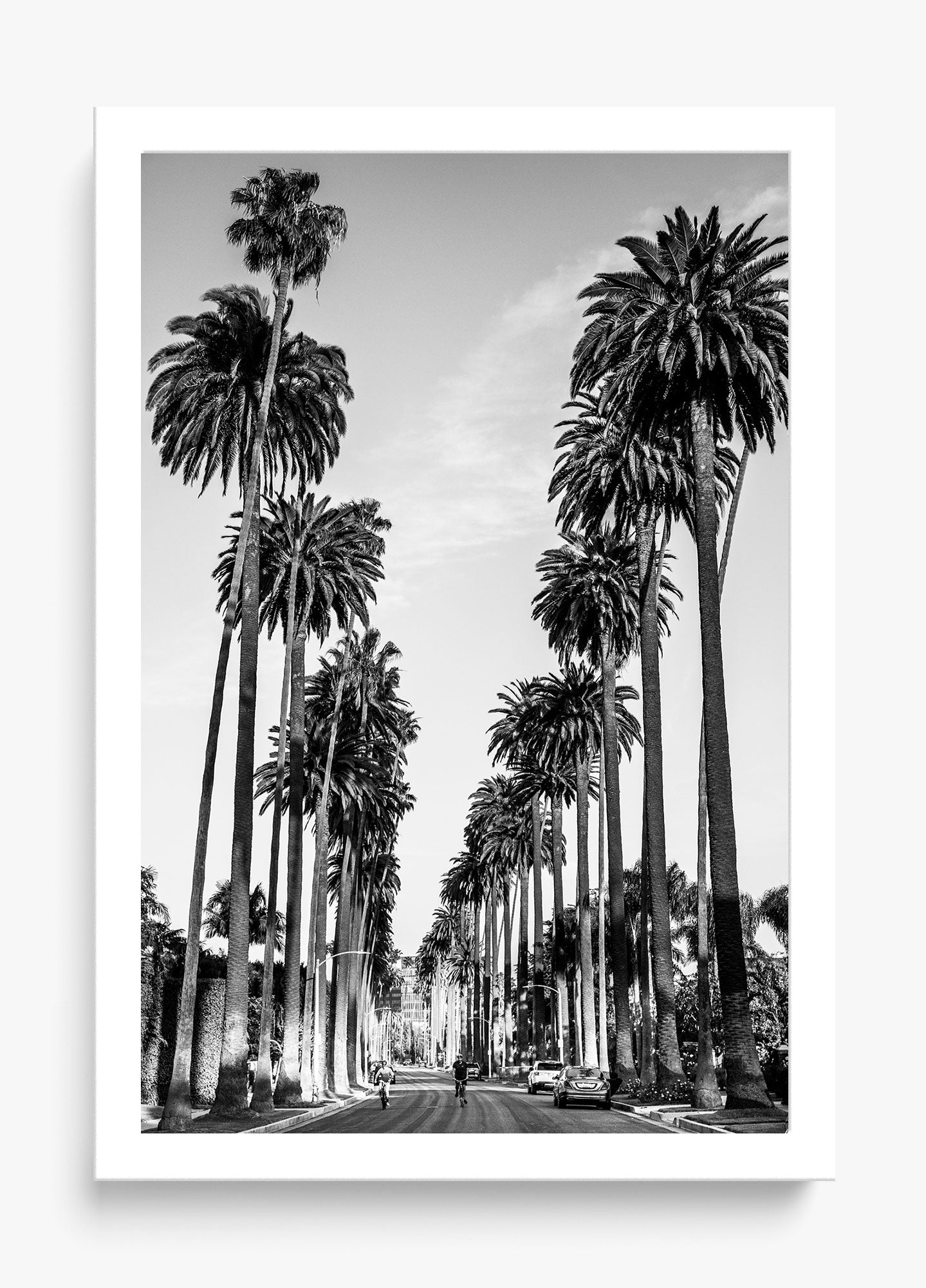 The Boulevard