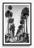 The Boulevard