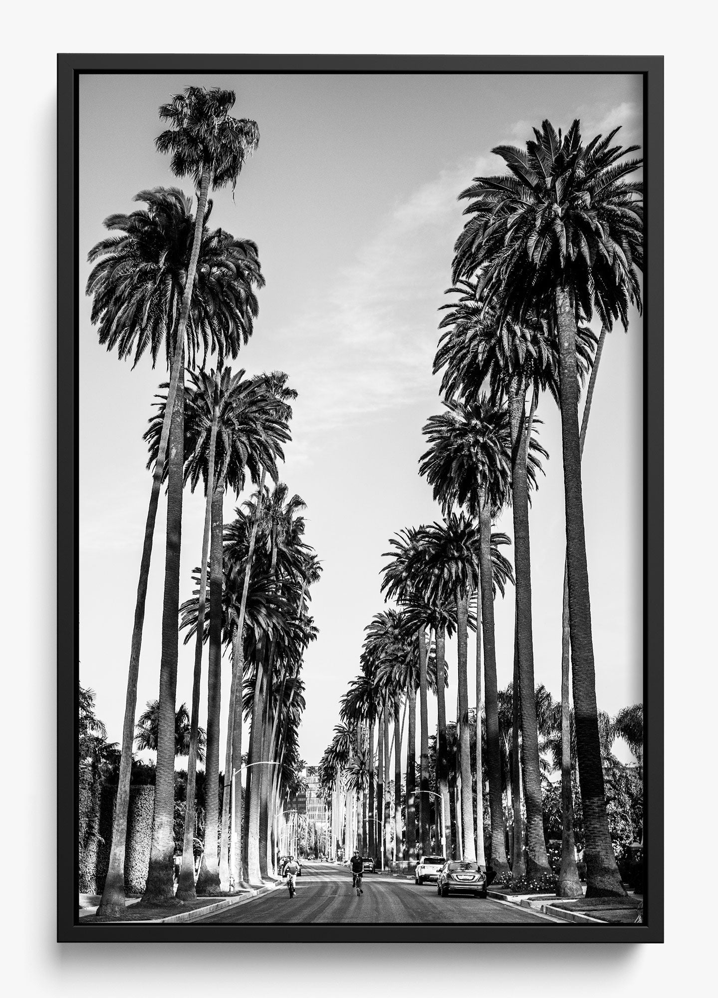 The Boulevard
