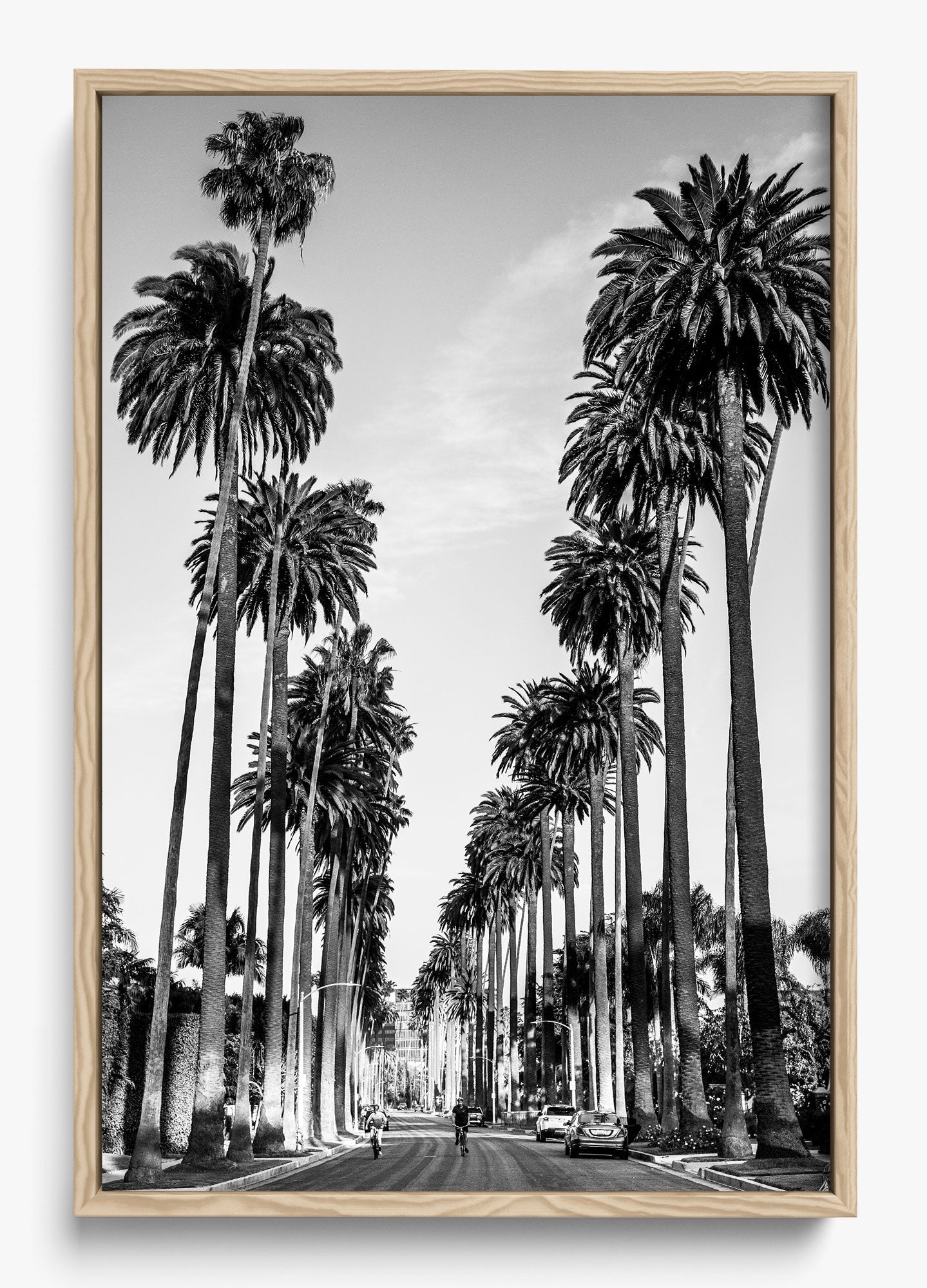 The Boulevard