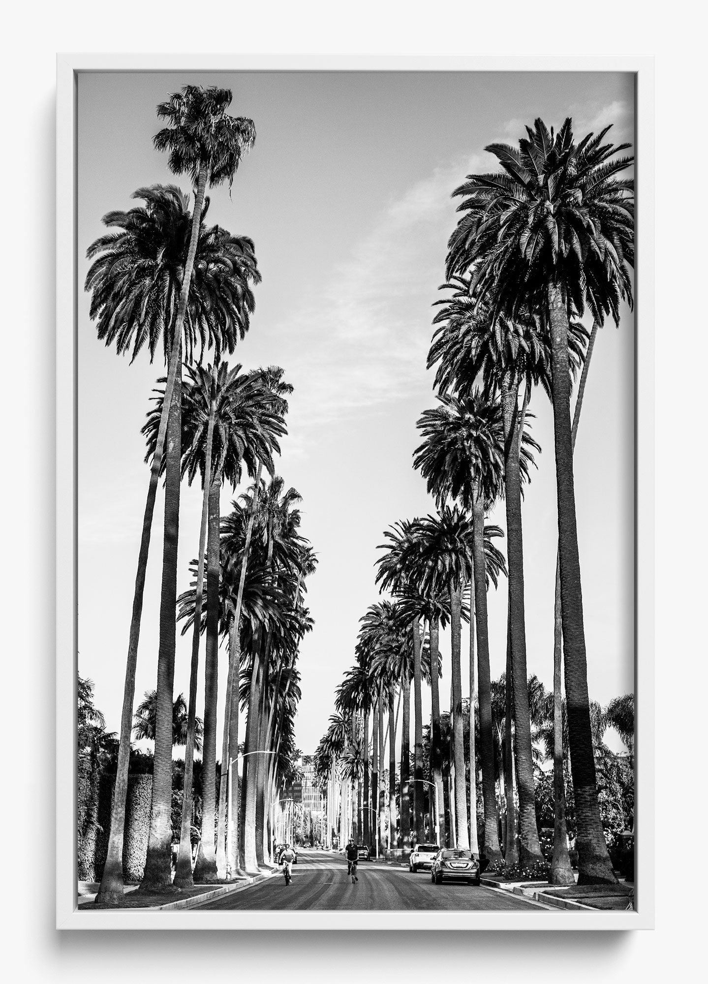 The Boulevard