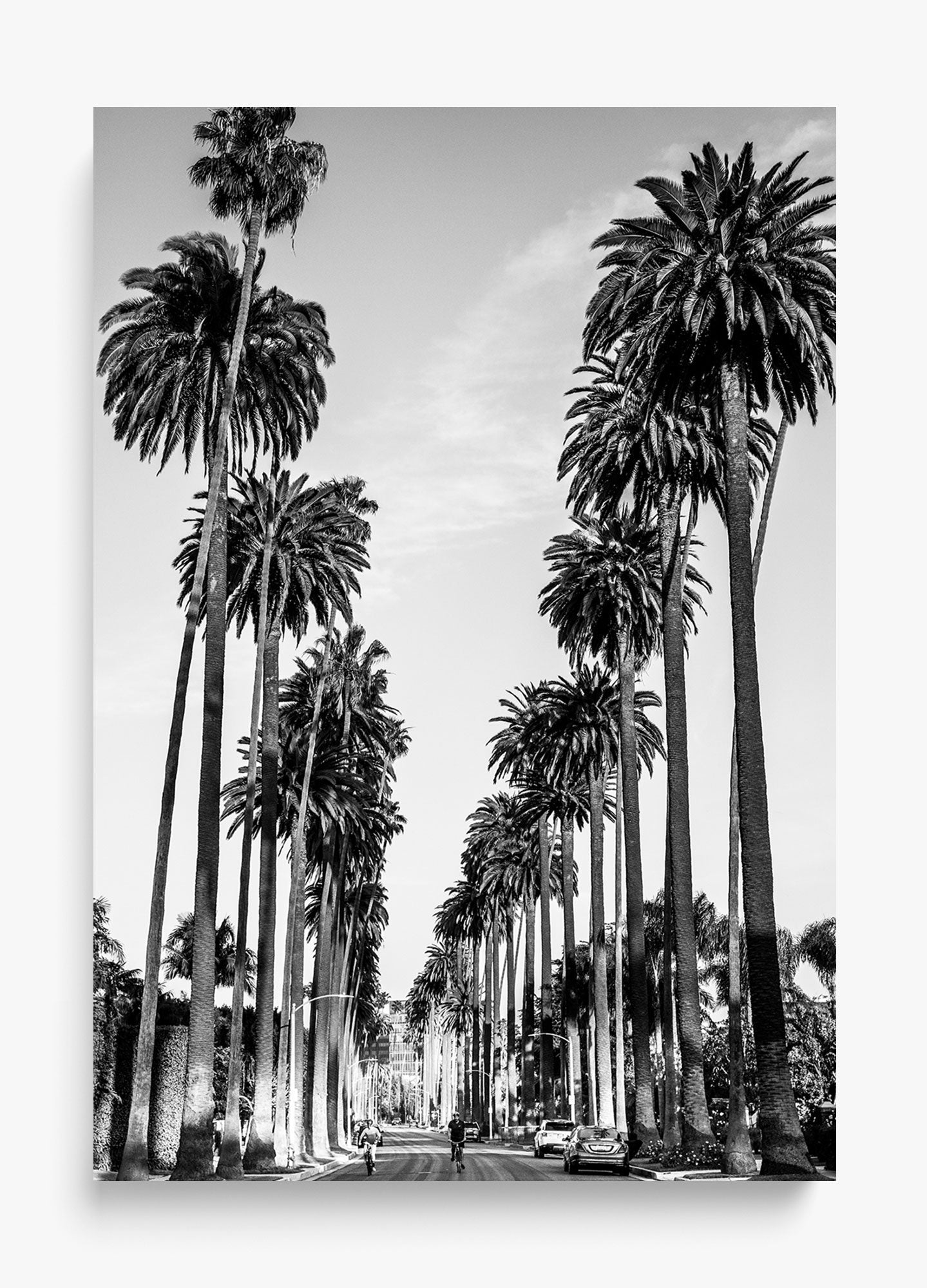 The Boulevard