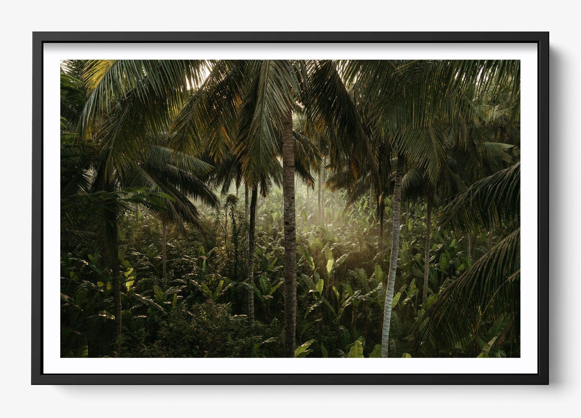 Tropical Delirium