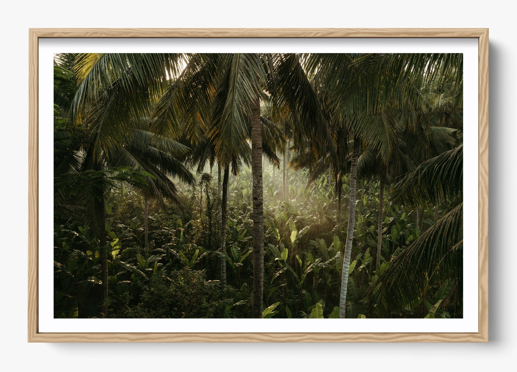 Tropical Delirium