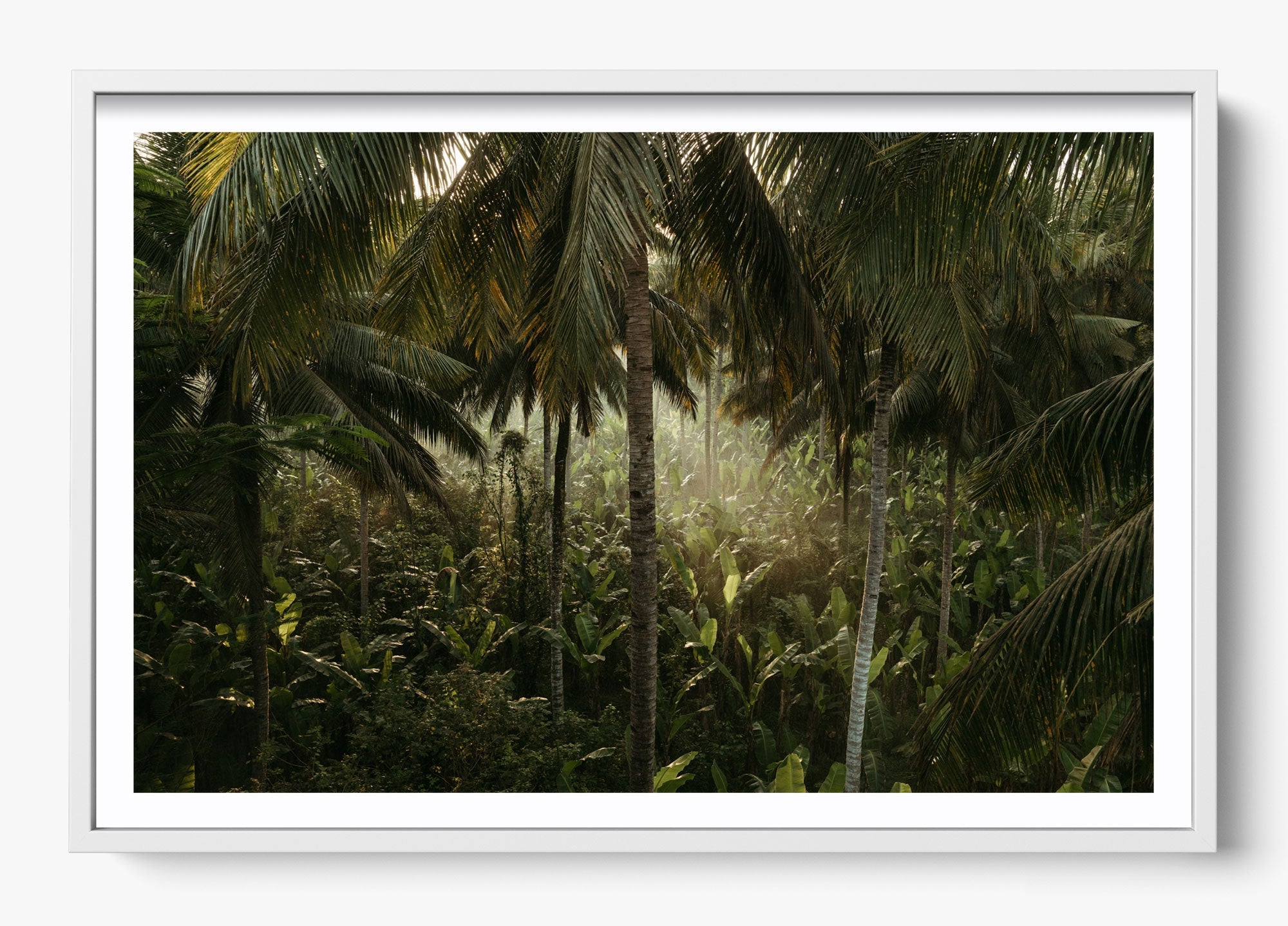 Tropical Delirium