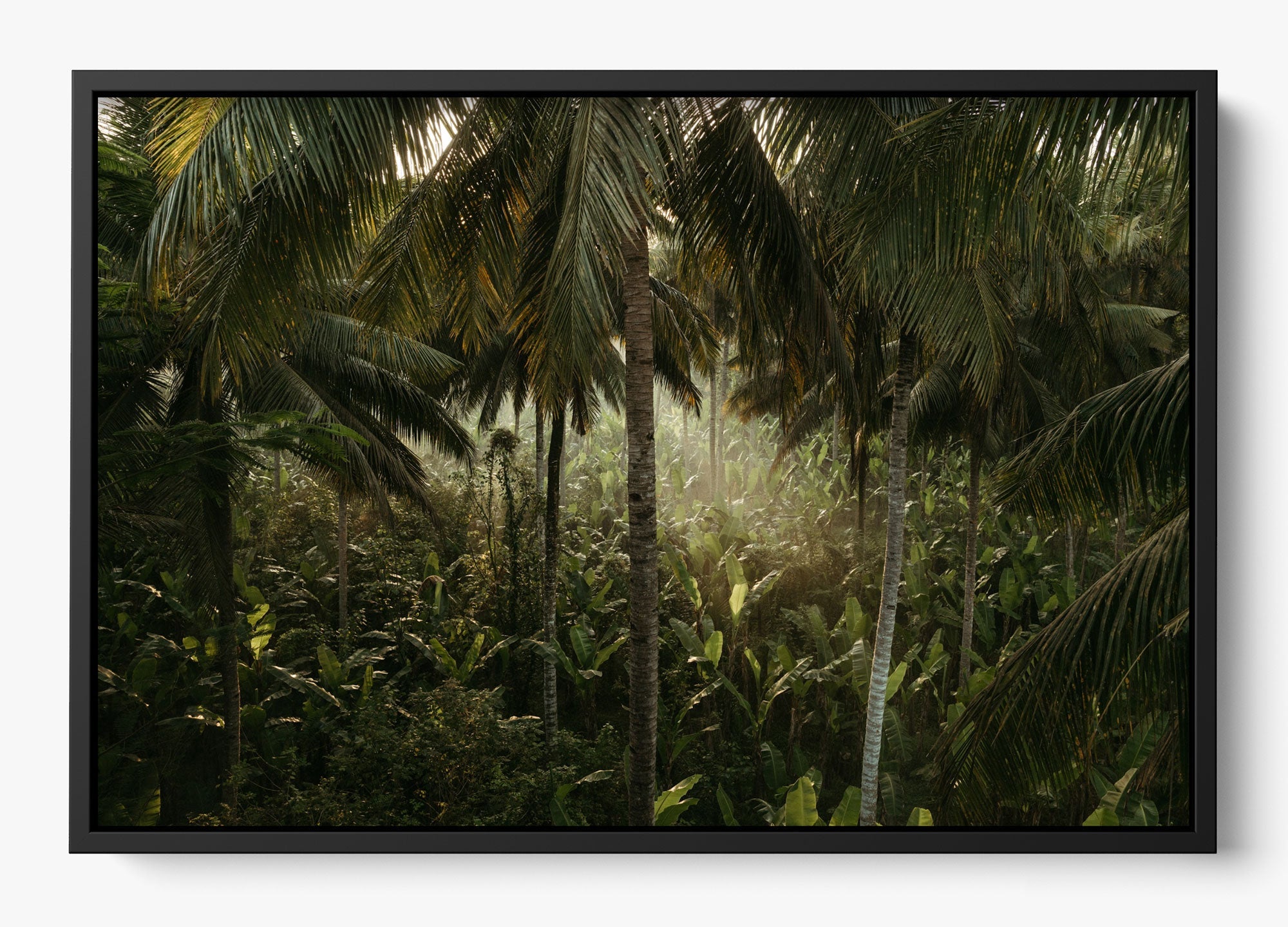 Tropical Delirium