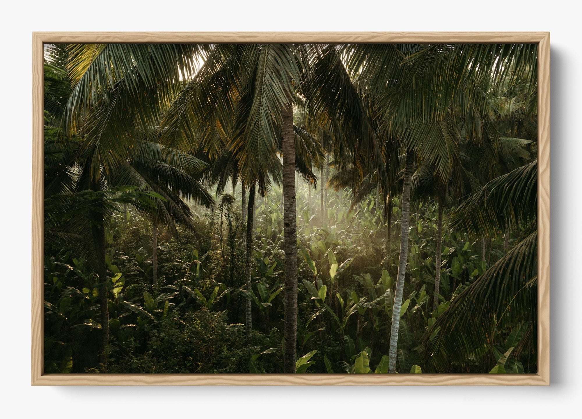 Tropical Delirium