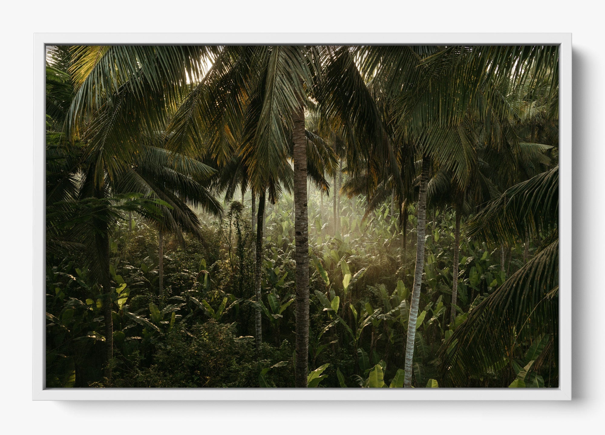Tropical Delirium