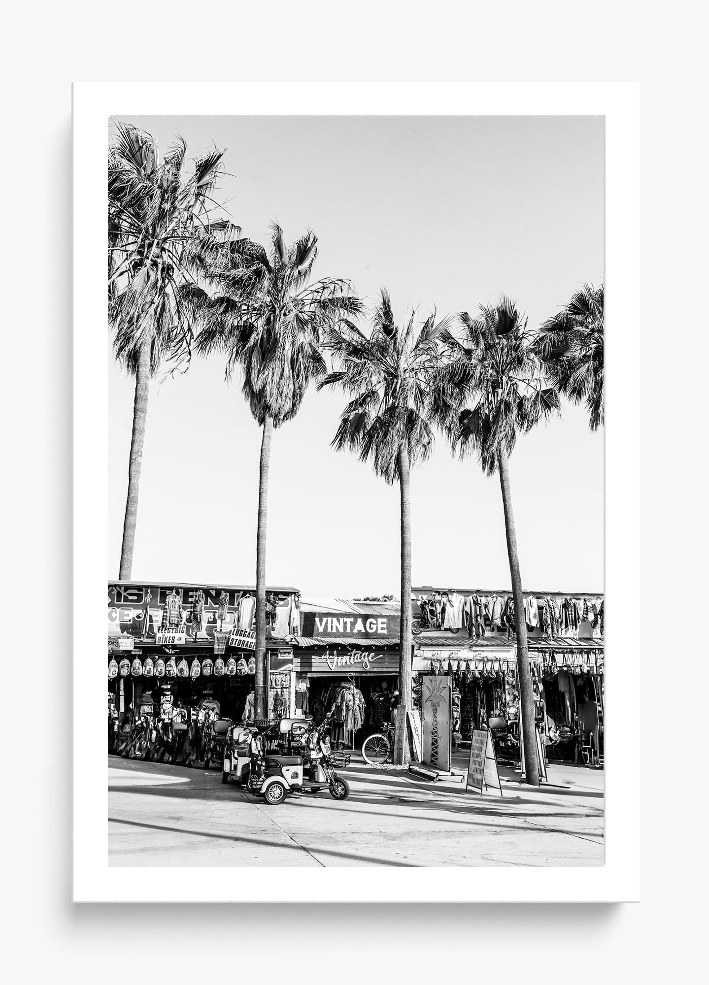 The Vintage Venice
