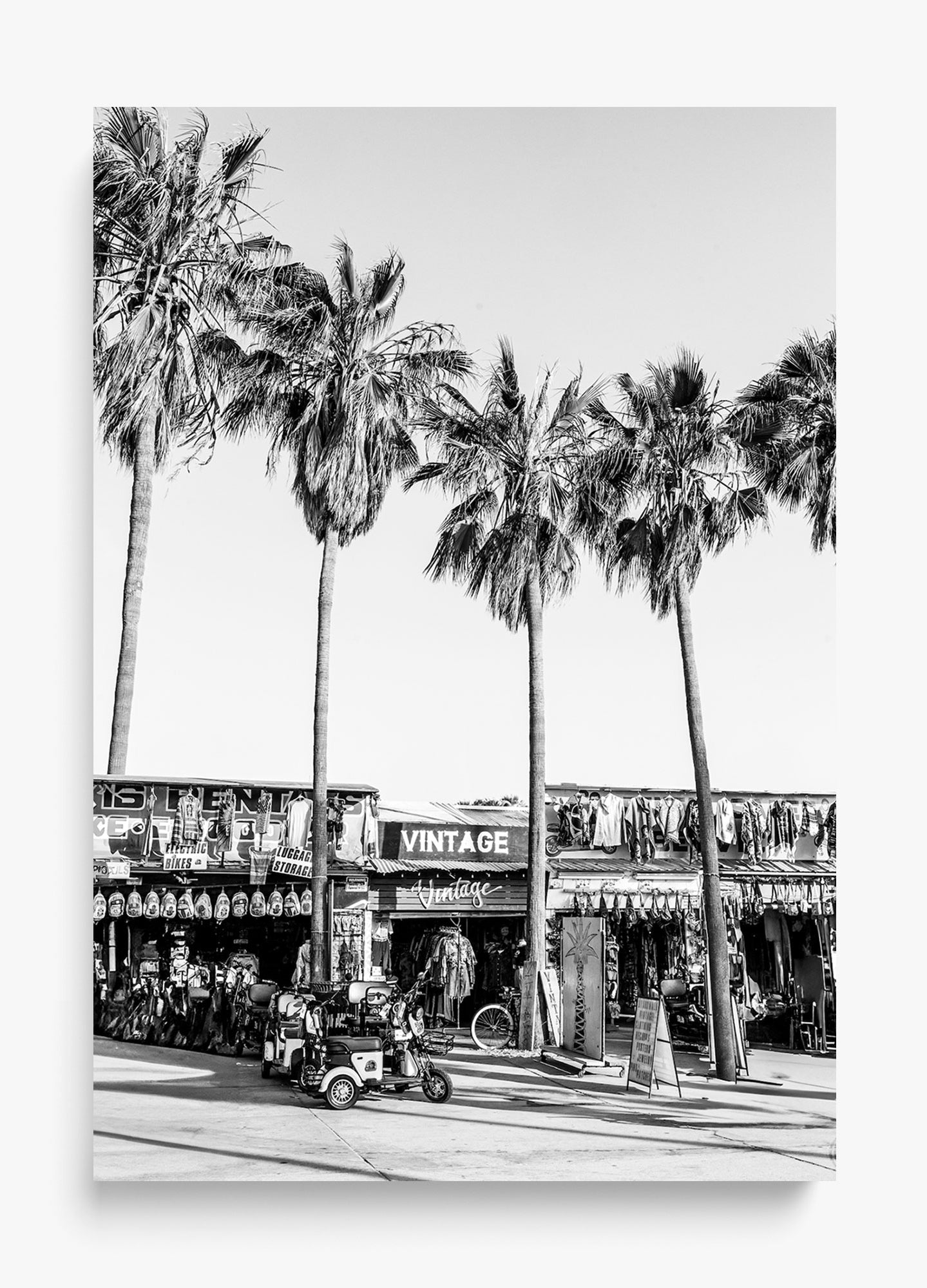 The Vintage Venice