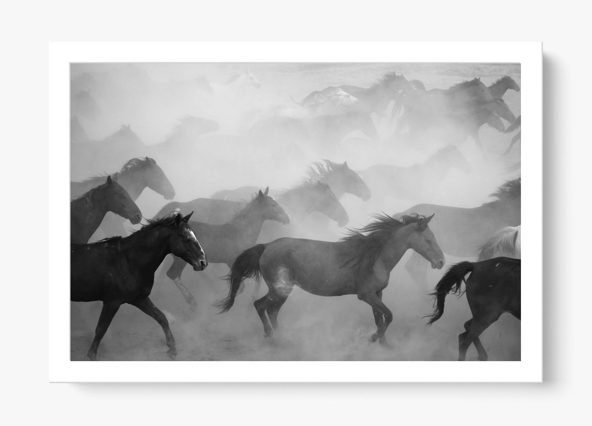 Run, Run, Wild