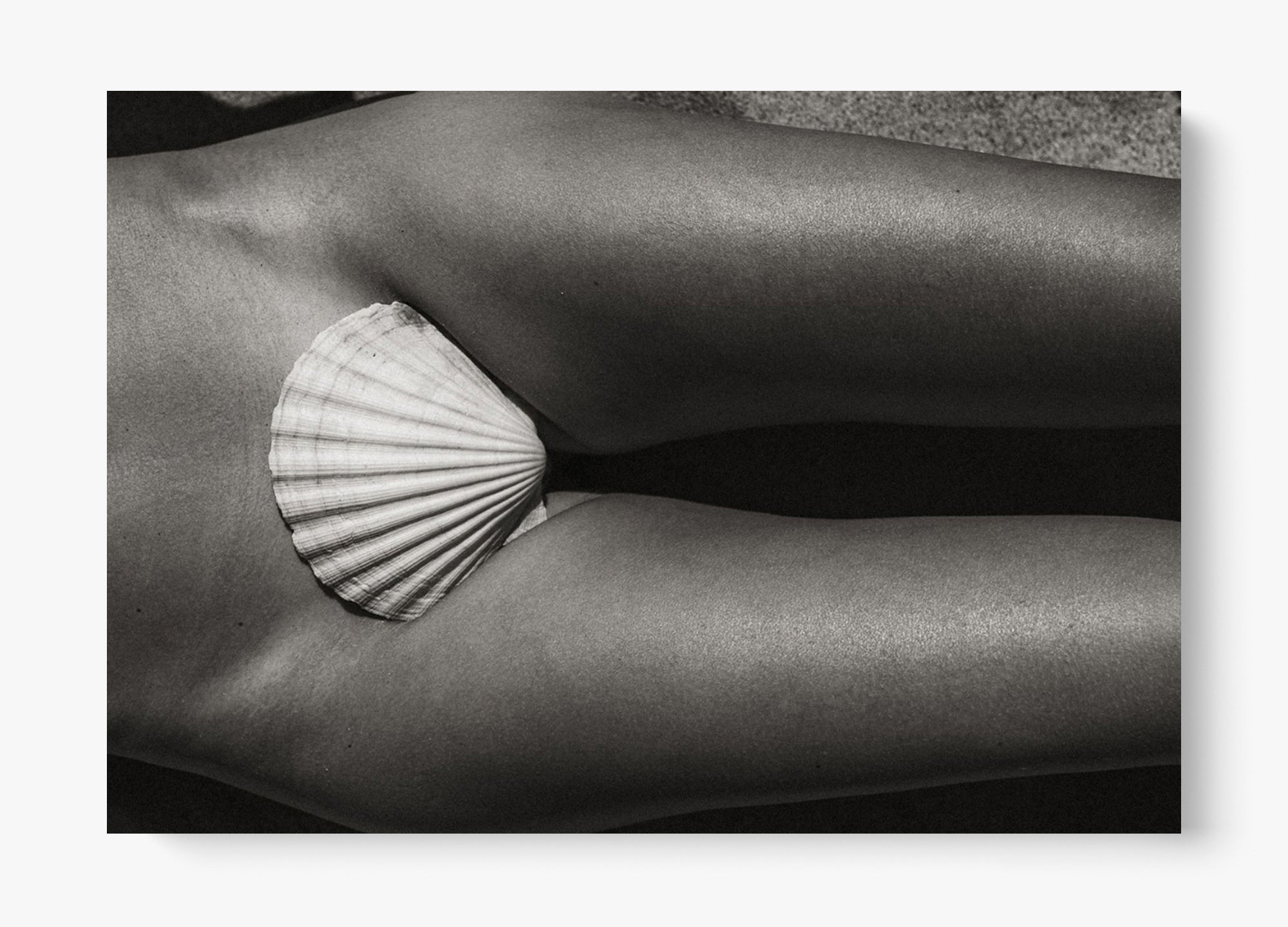 Aphrodite