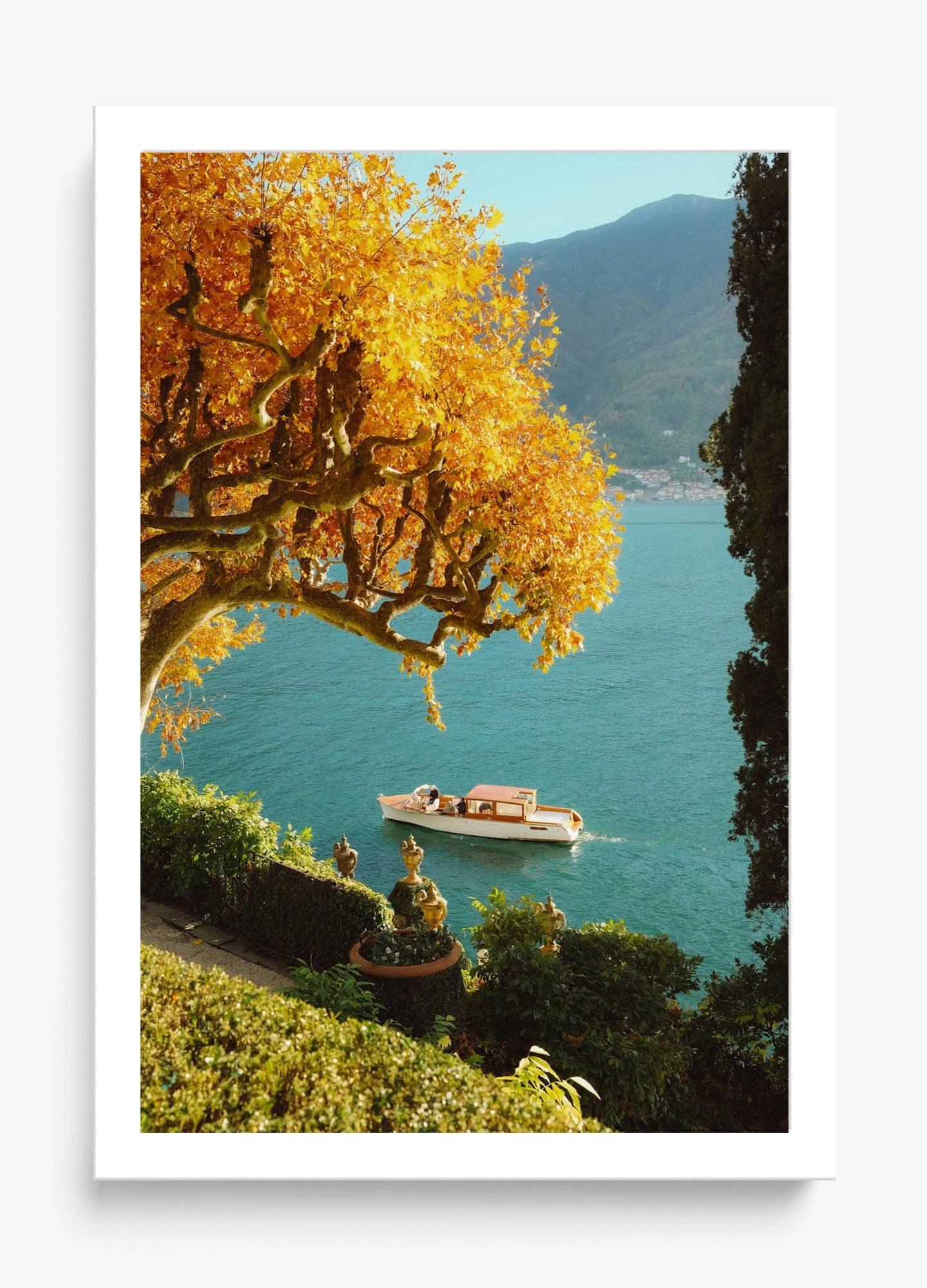 Autumn Cruise