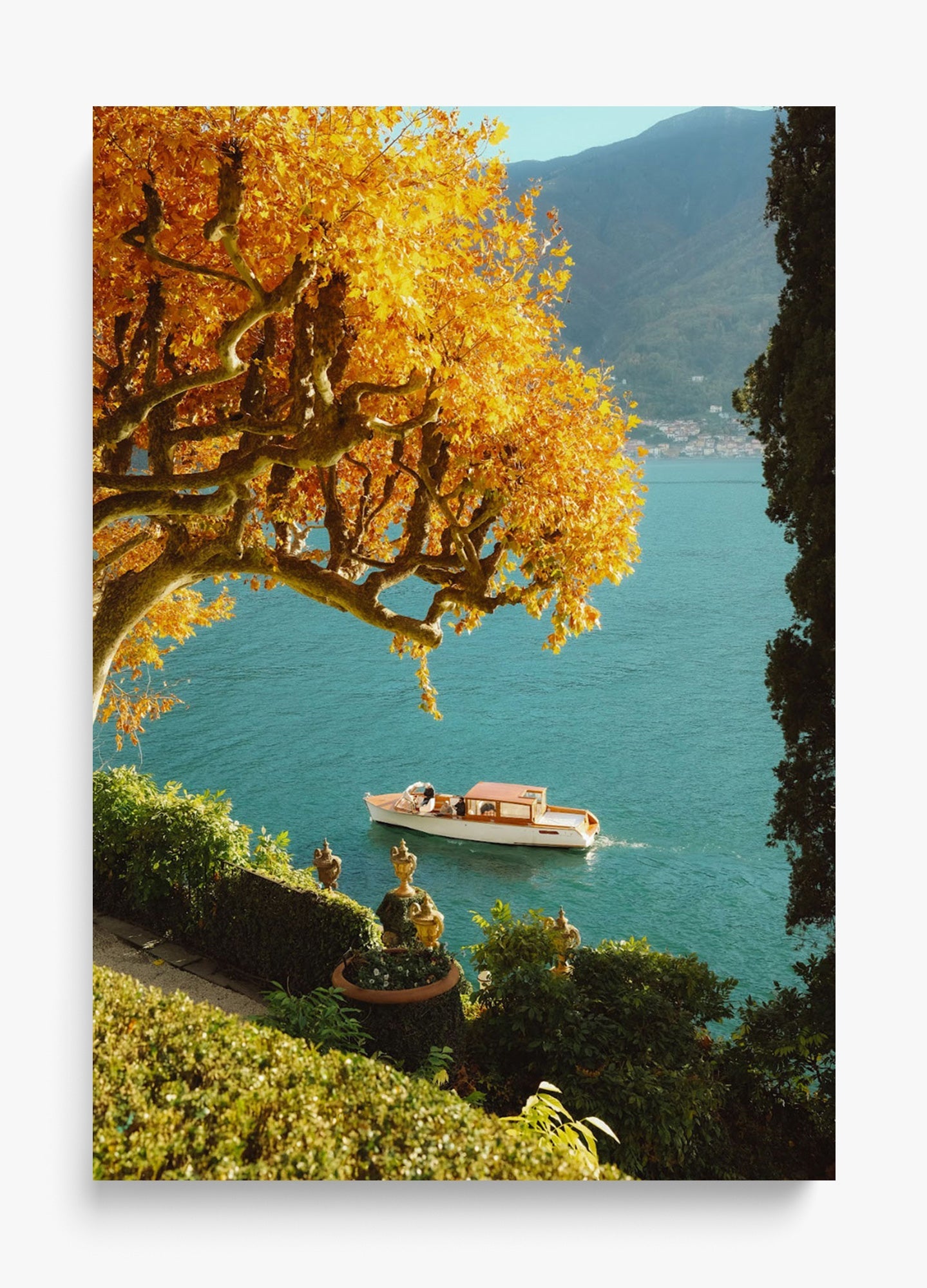 Autumn Cruise
