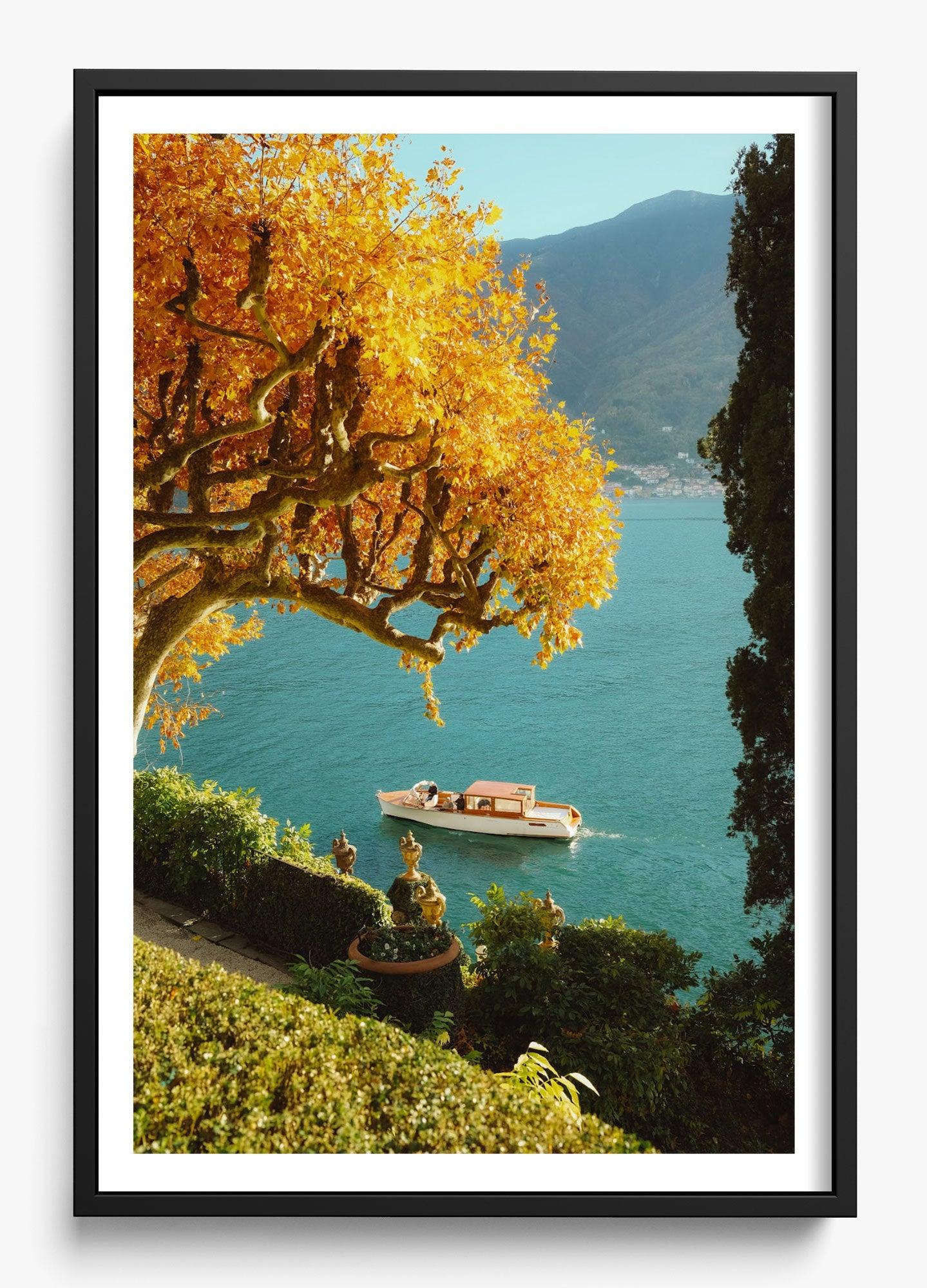 Autumn Cruise