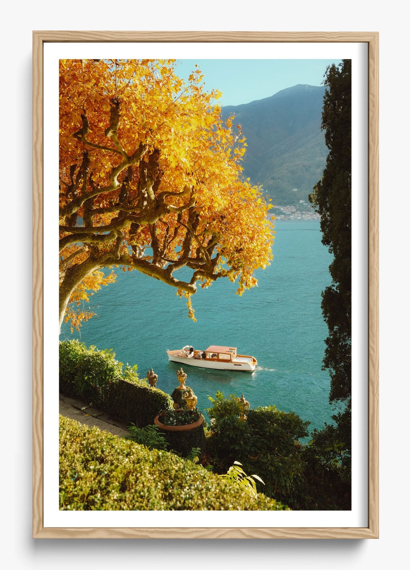Autumn Cruise