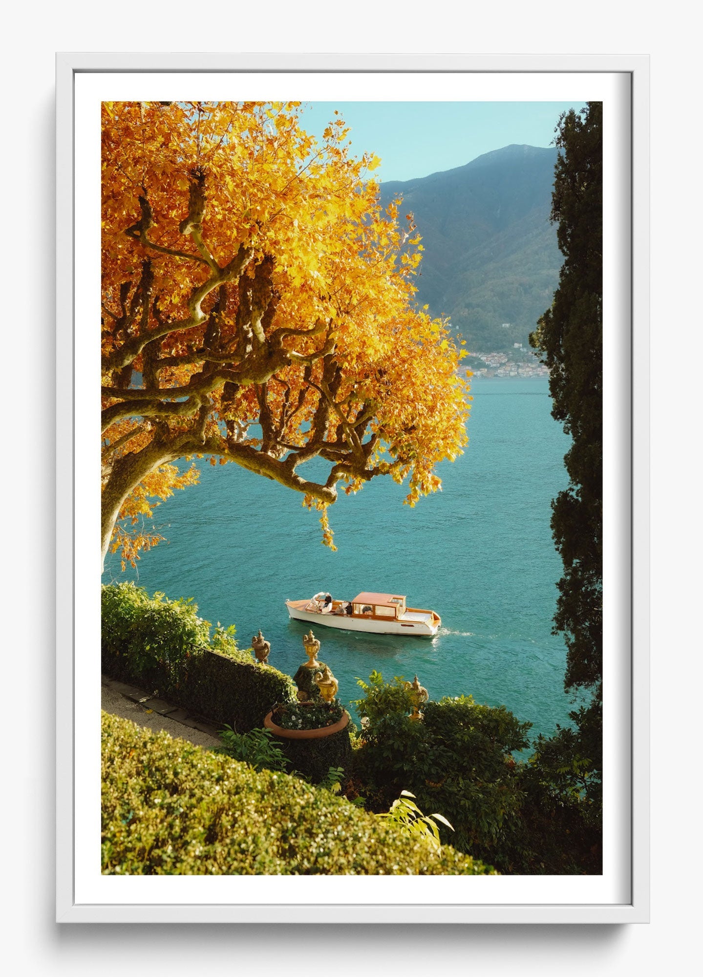 Autumn Cruise