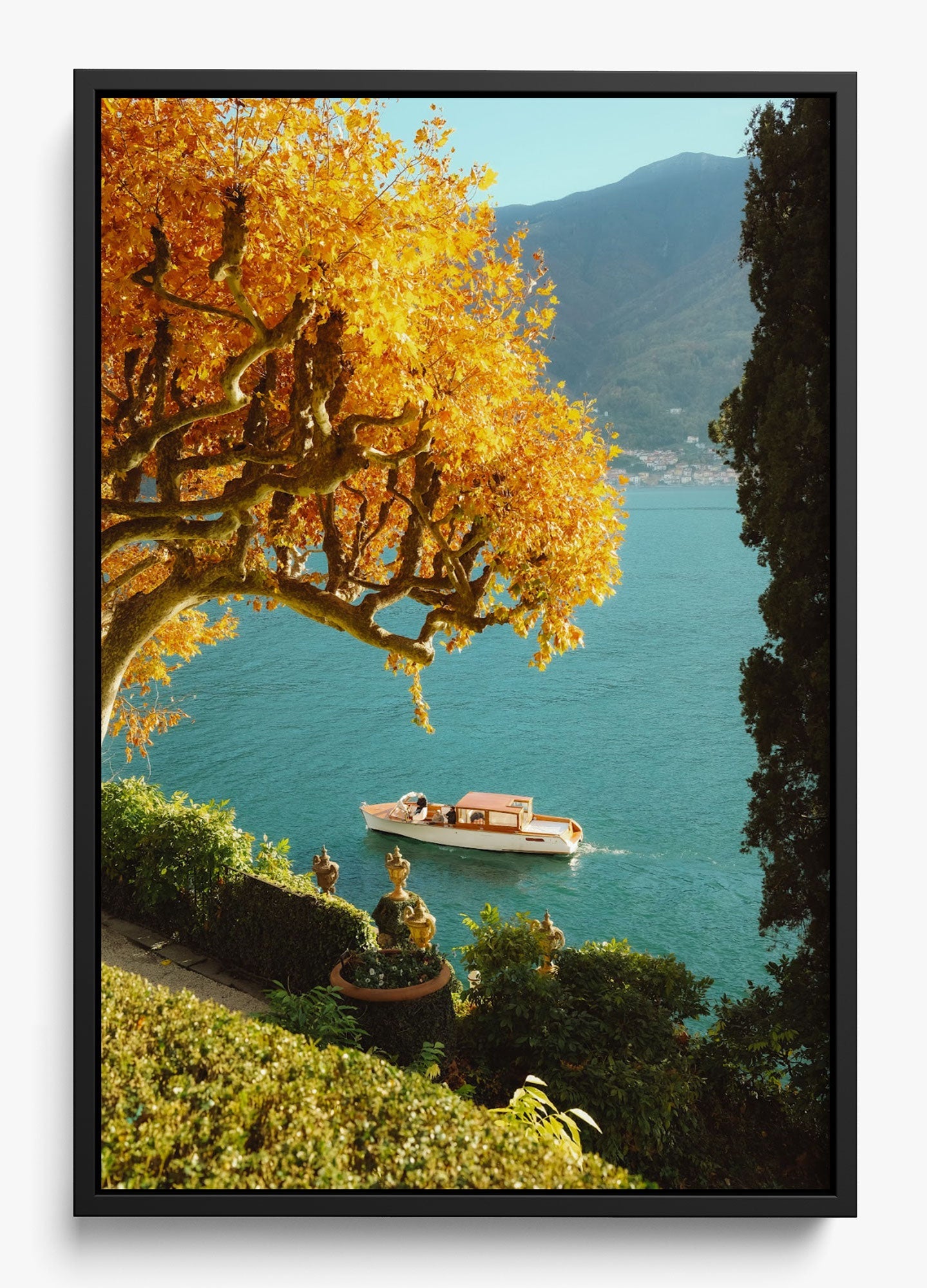Autumn Cruise