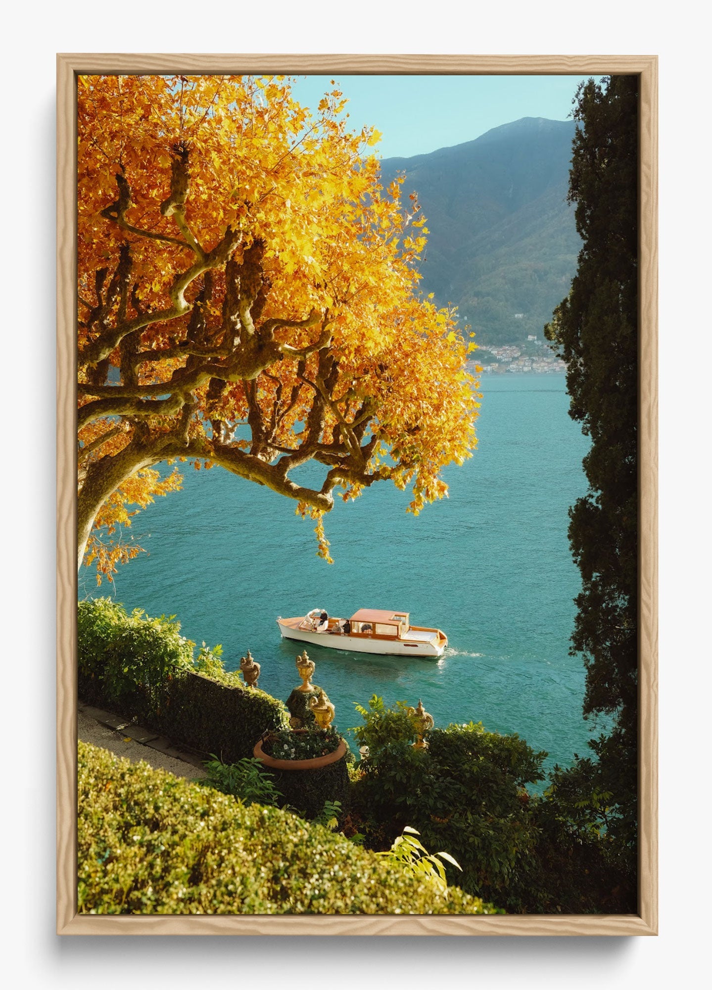 Autumn Cruise