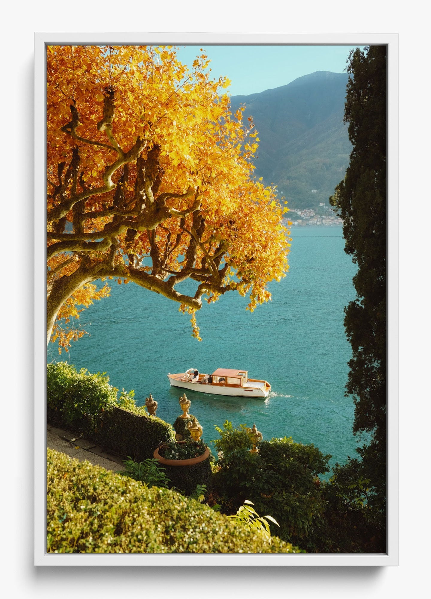 Autumn Cruise