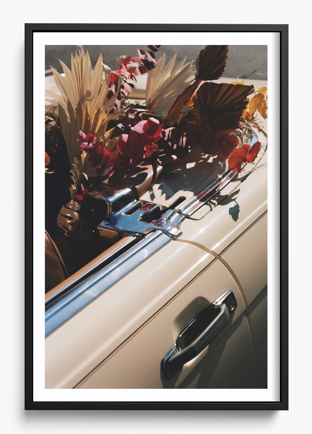 Autumn Cruiser