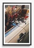 Autumn Cruiser