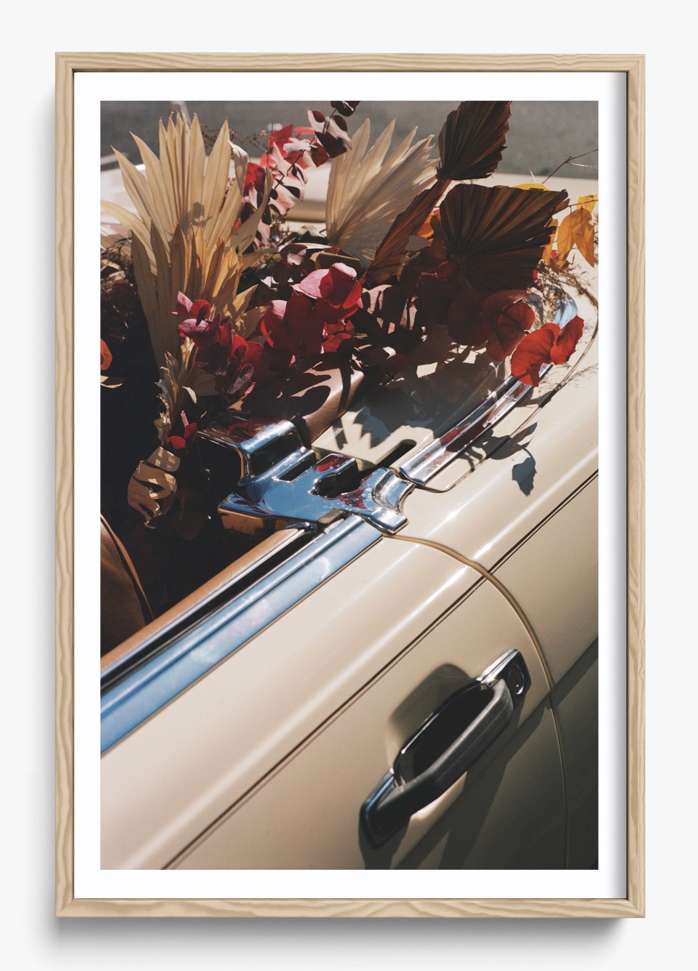 Autumn Cruiser