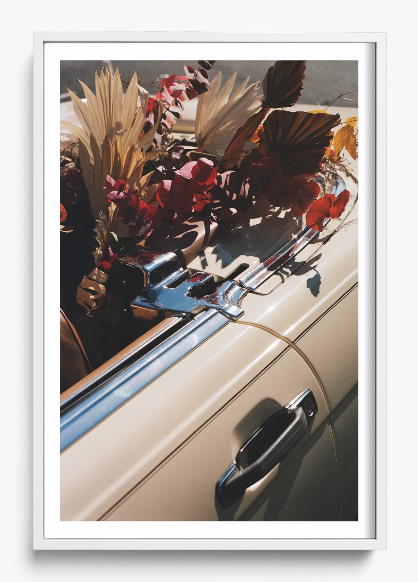 Autumn Cruiser