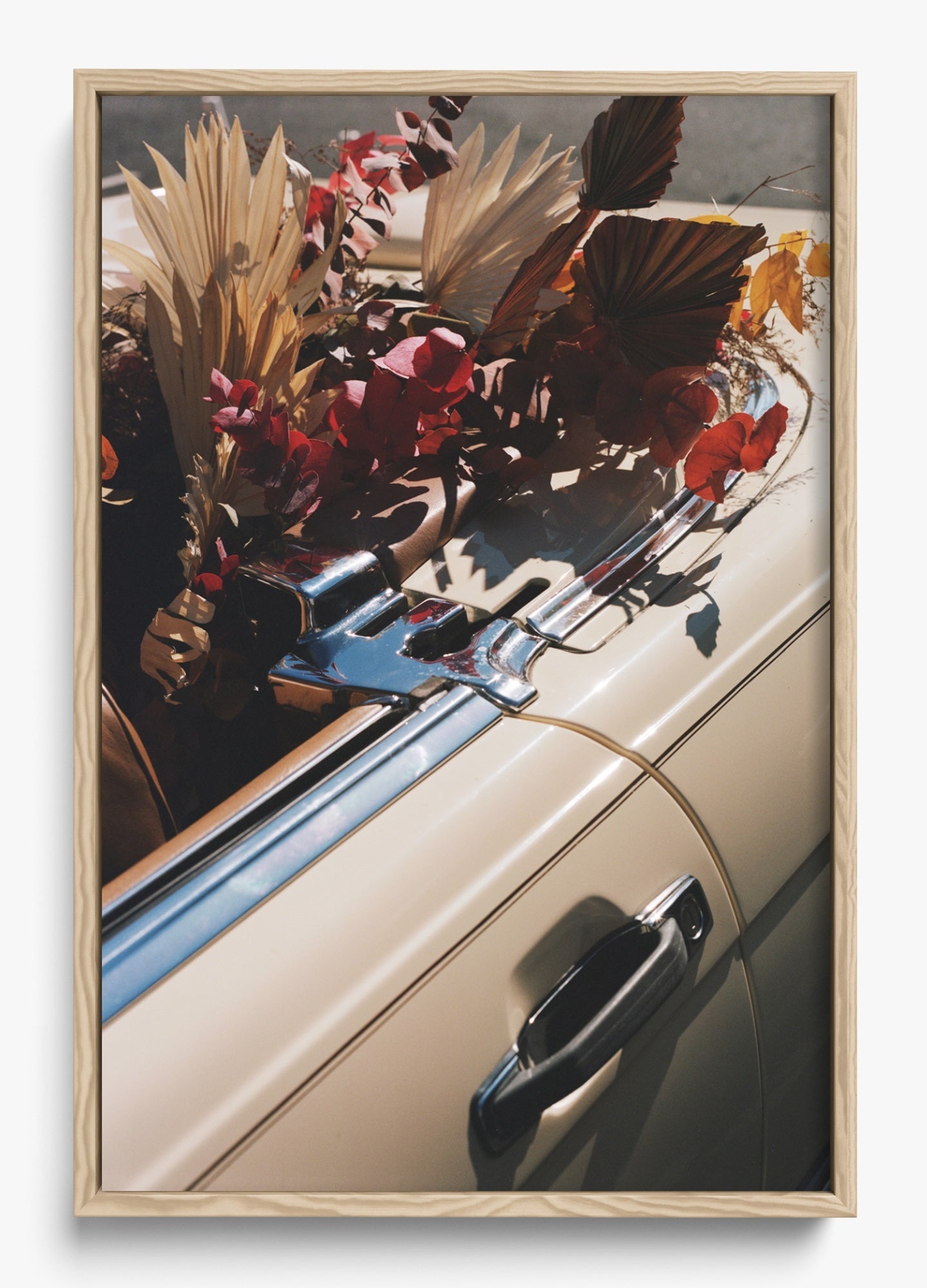 Autumn Cruiser