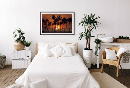 Beyond The Palms