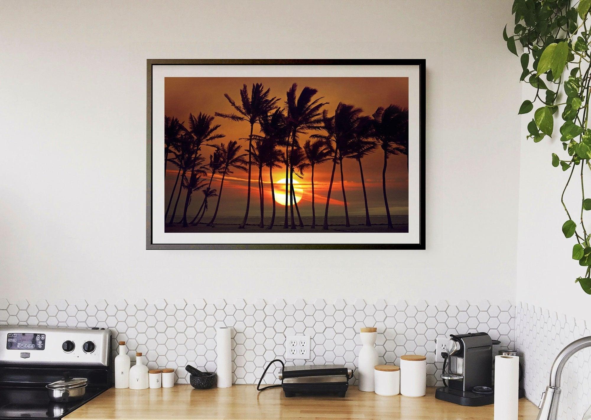 Beyond The Palms