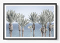 Cabo Palms