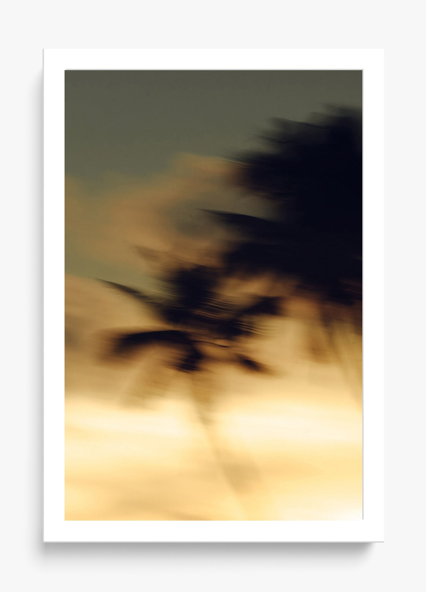 In Motion
