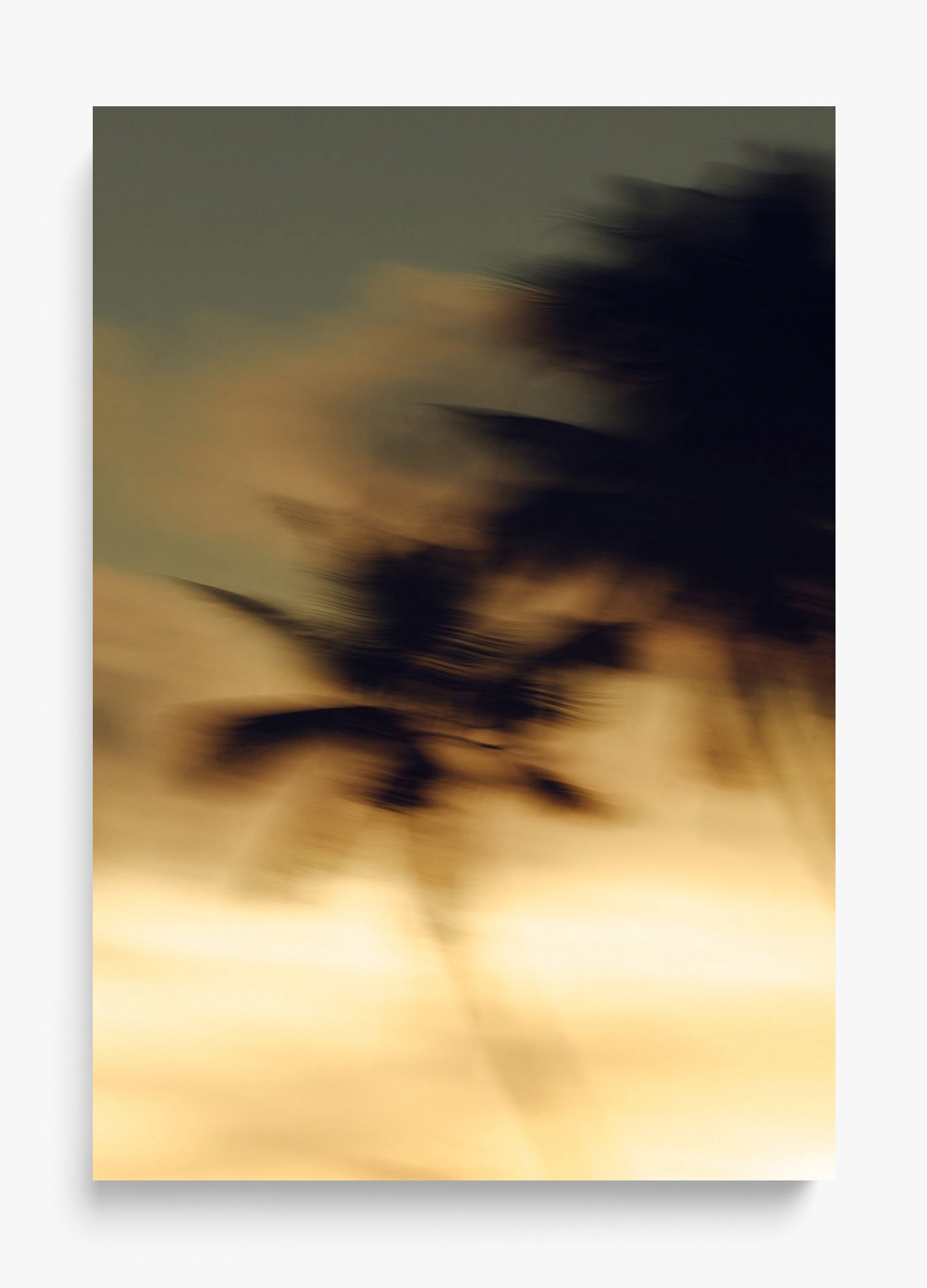 In Motion