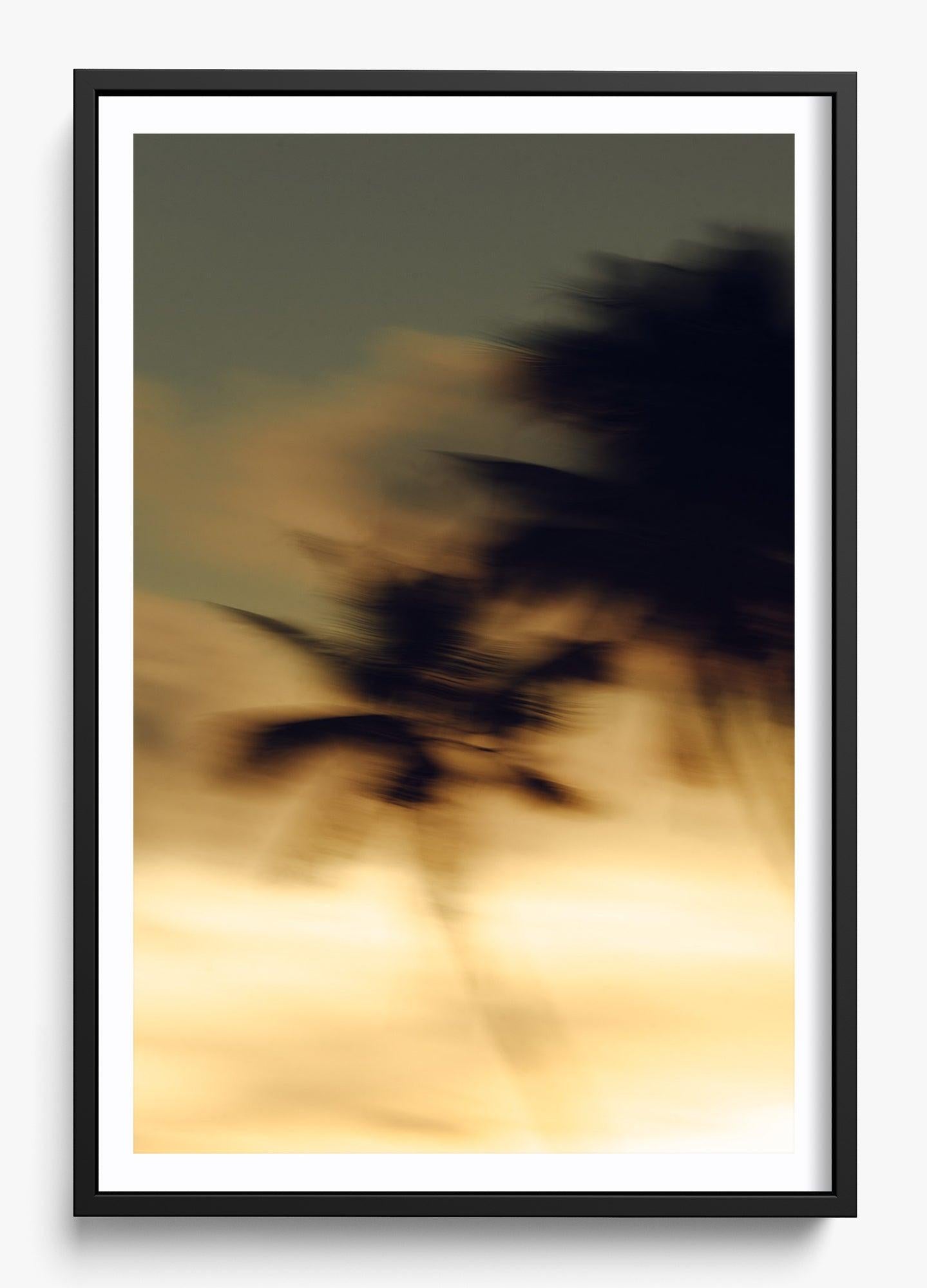 In Motion