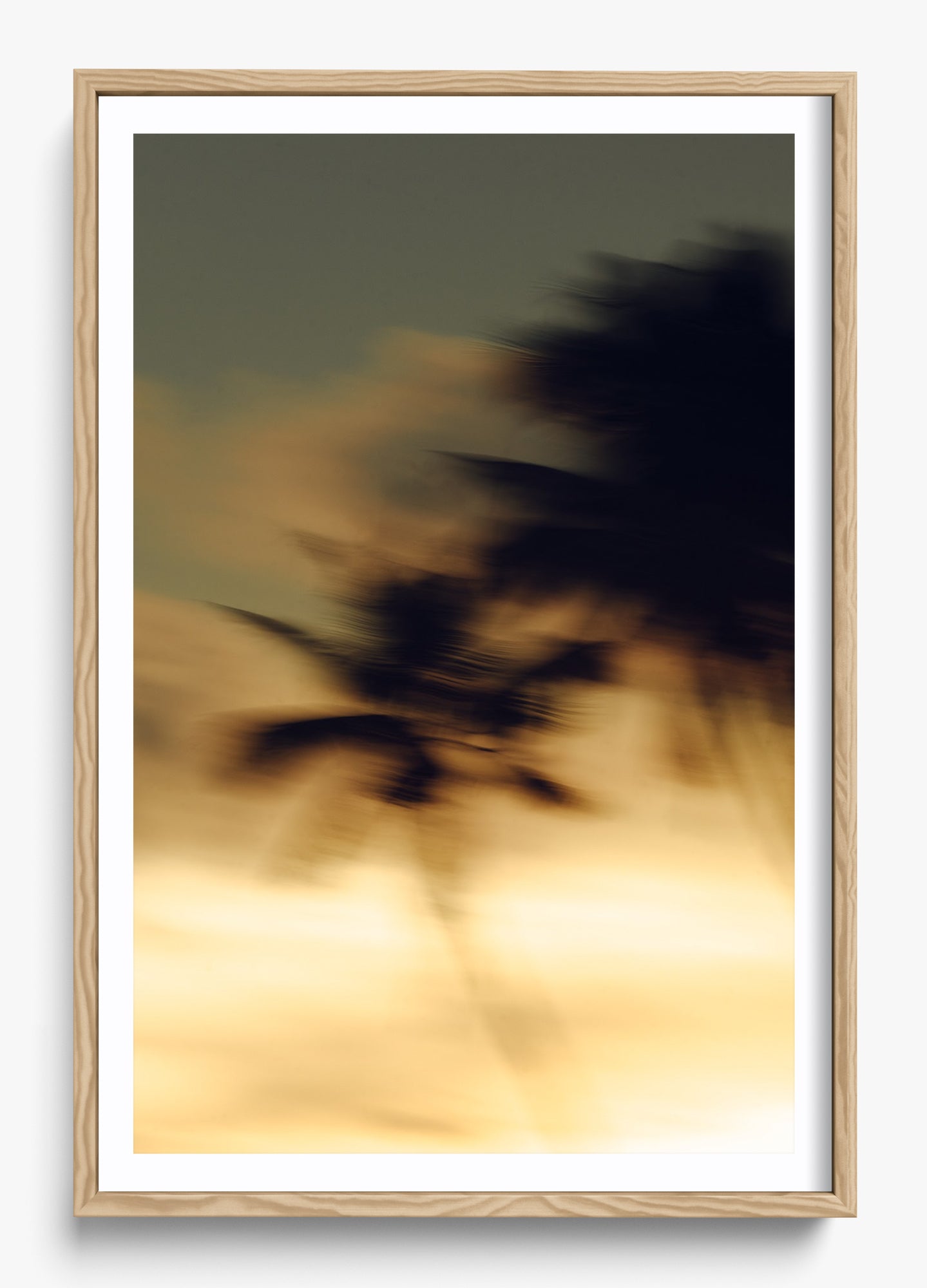 In Motion