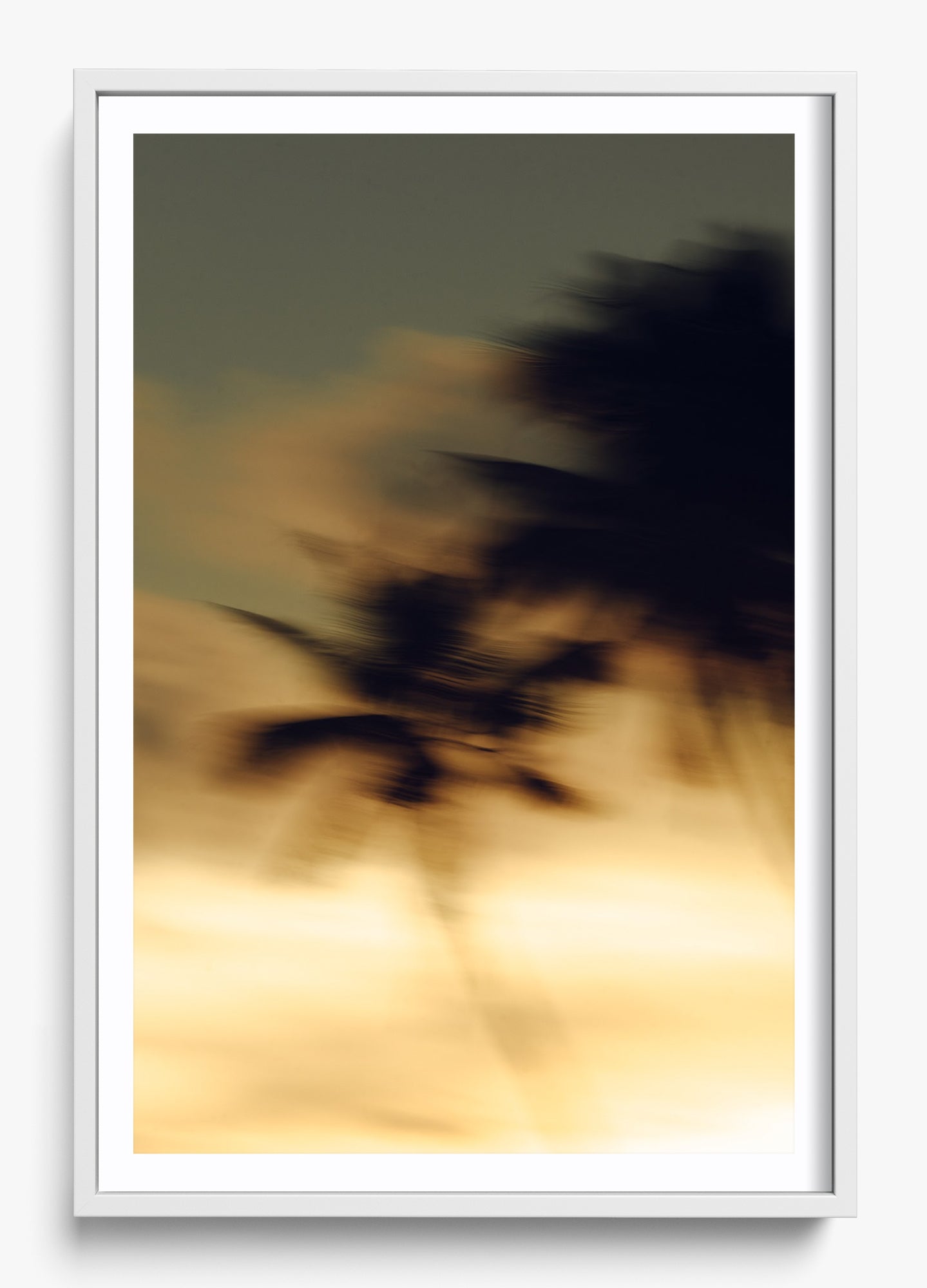 In Motion