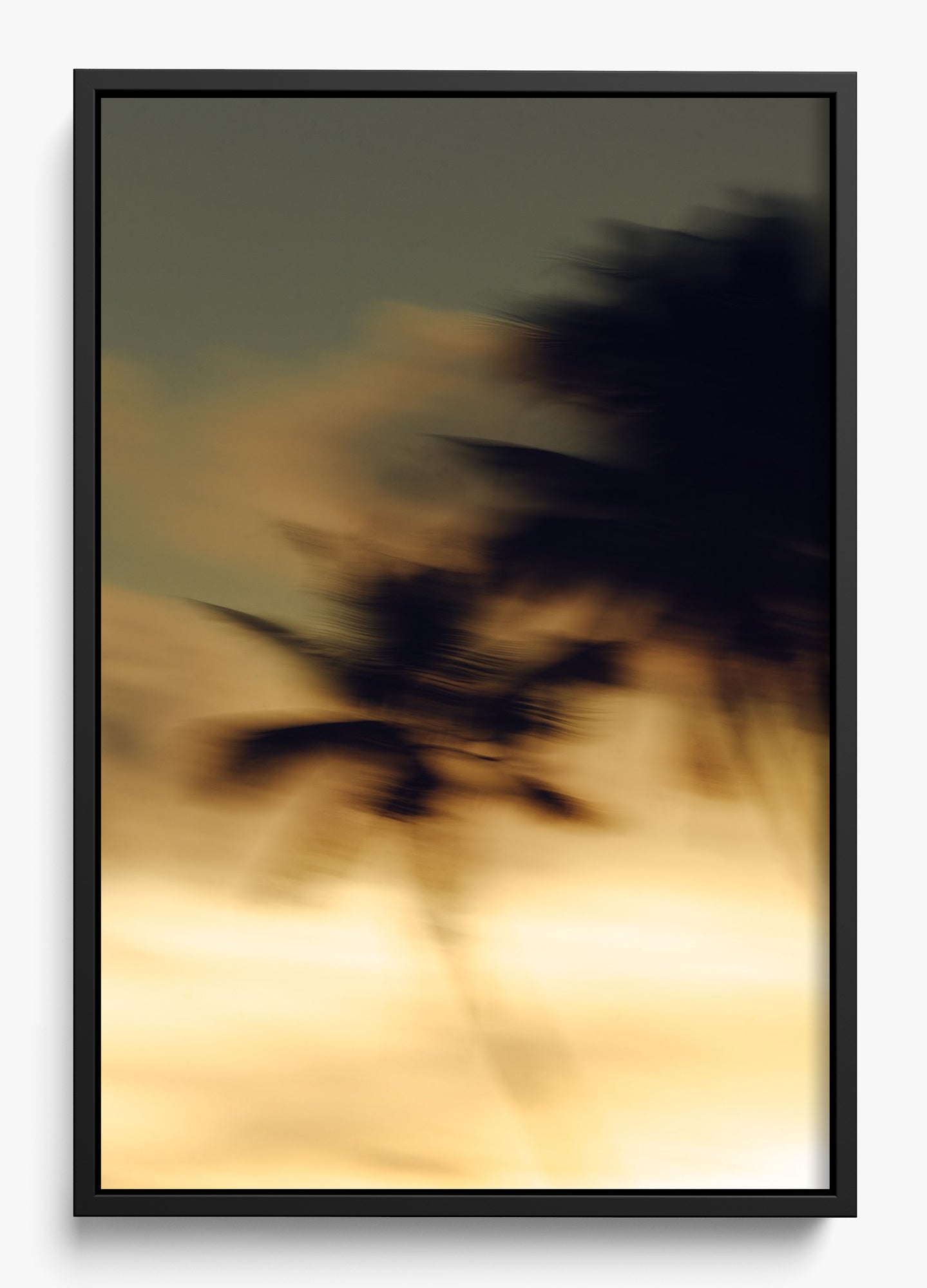 In Motion