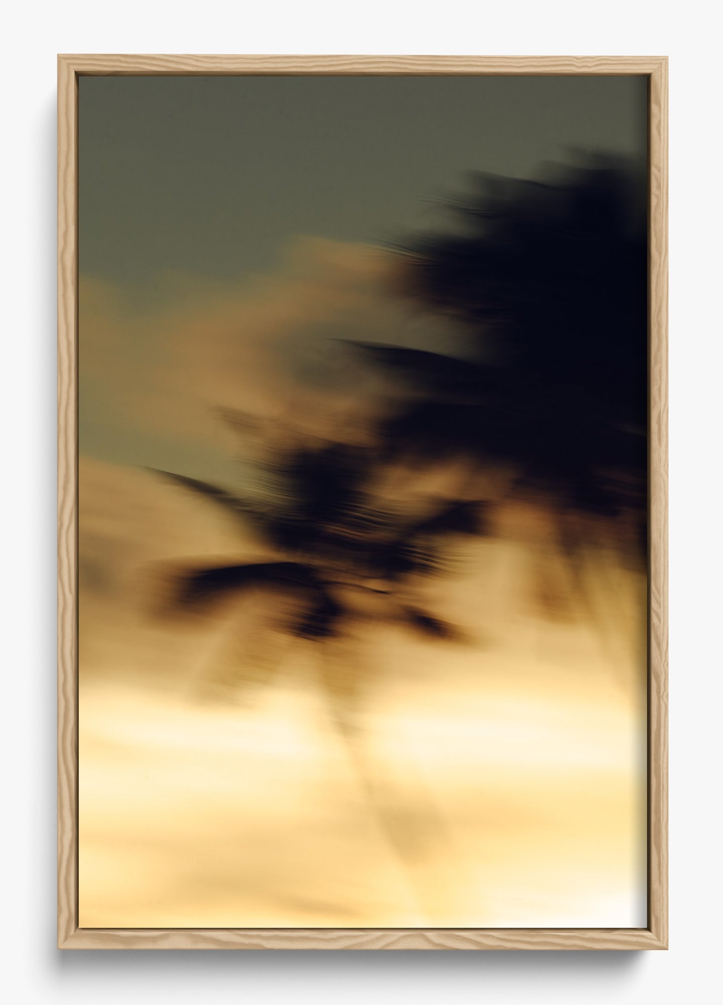 In Motion