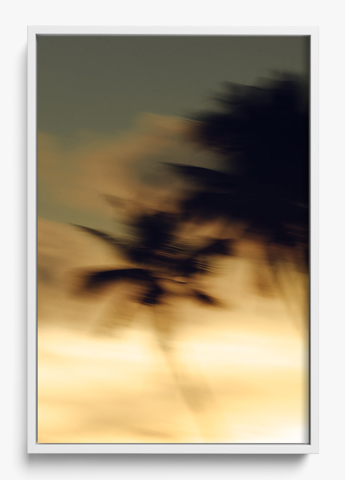 In Motion