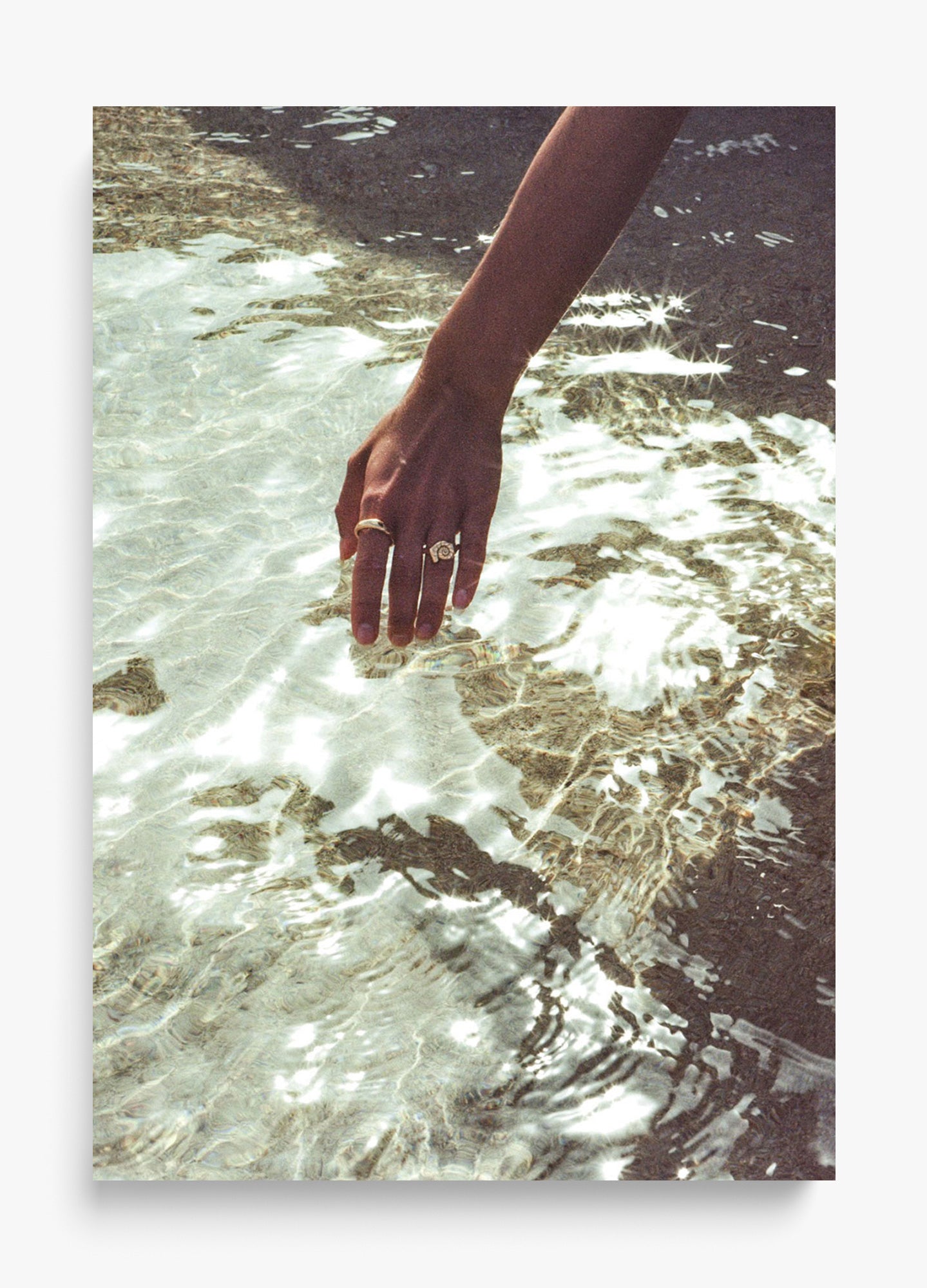 Catching Sea Stars